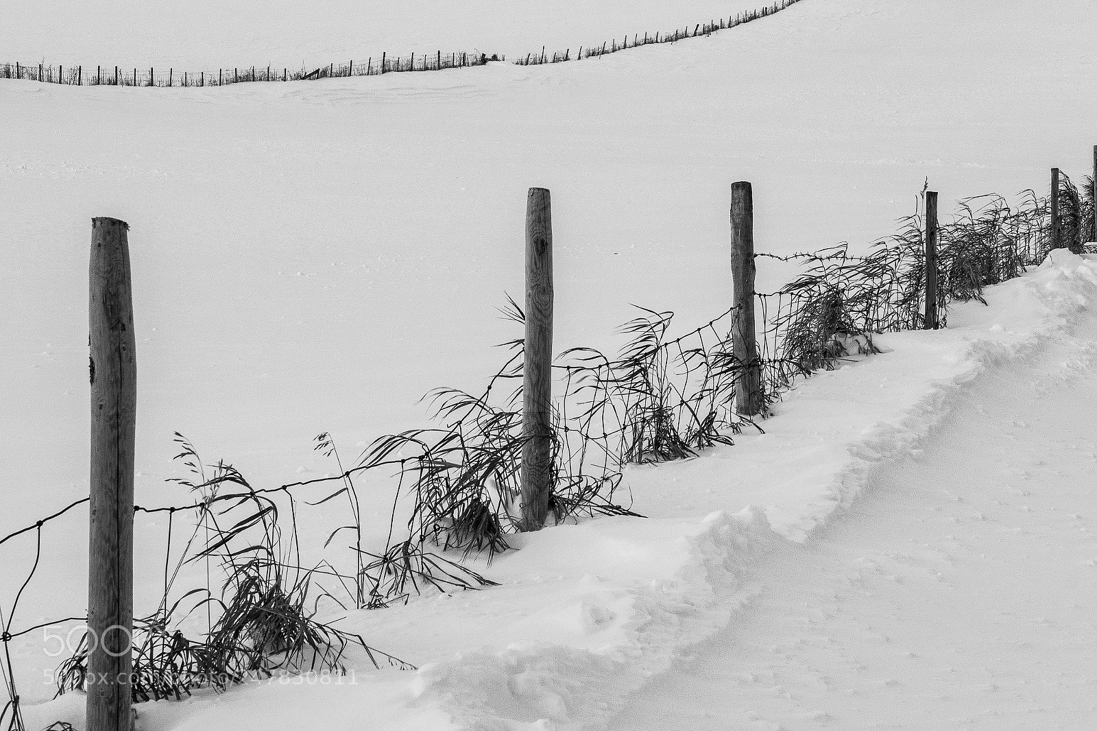 Canon PowerShot G5 X sample photo. Two fences. photography