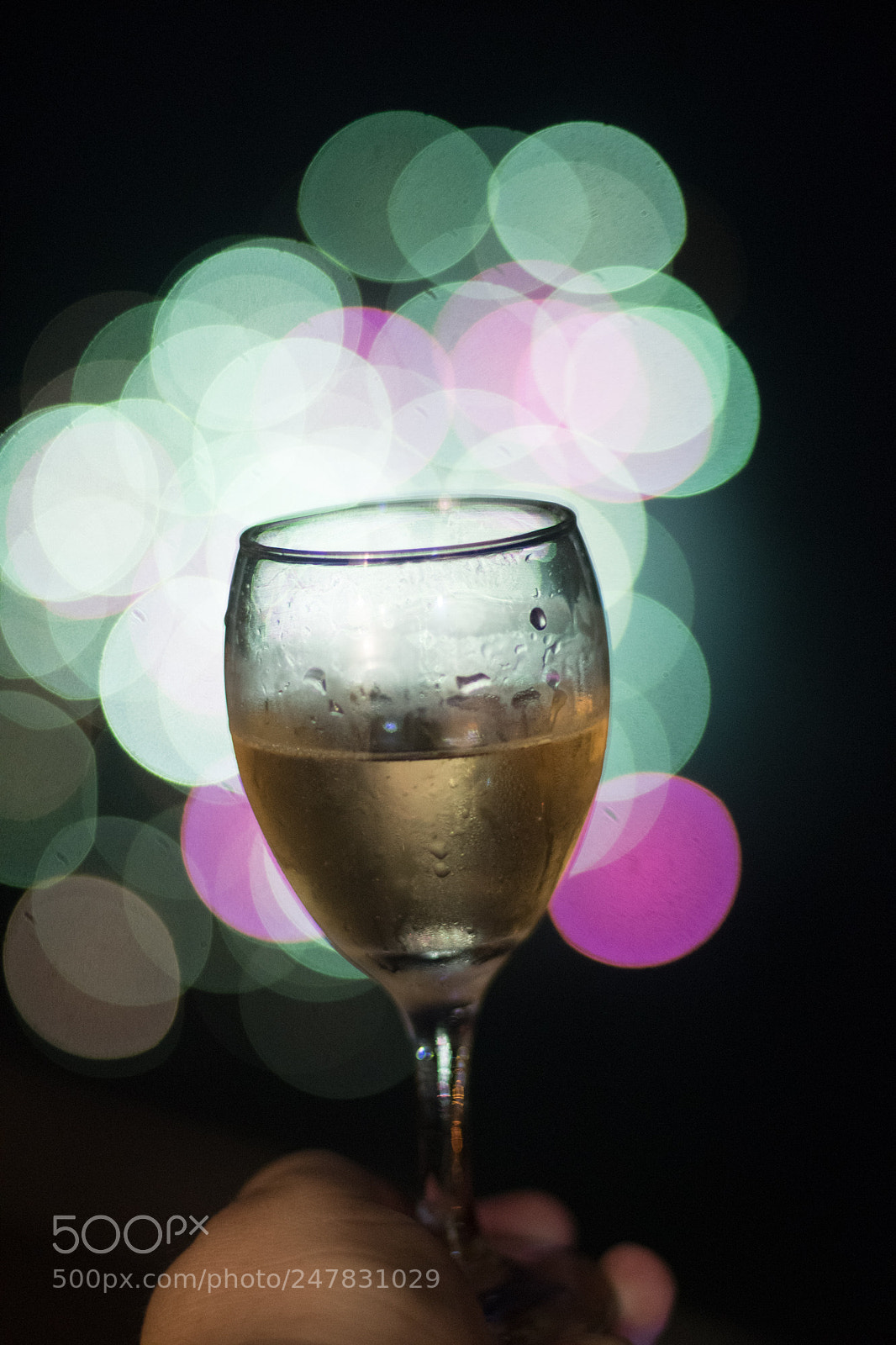 Nikon D500 sample photo. Bokeh 1 photography