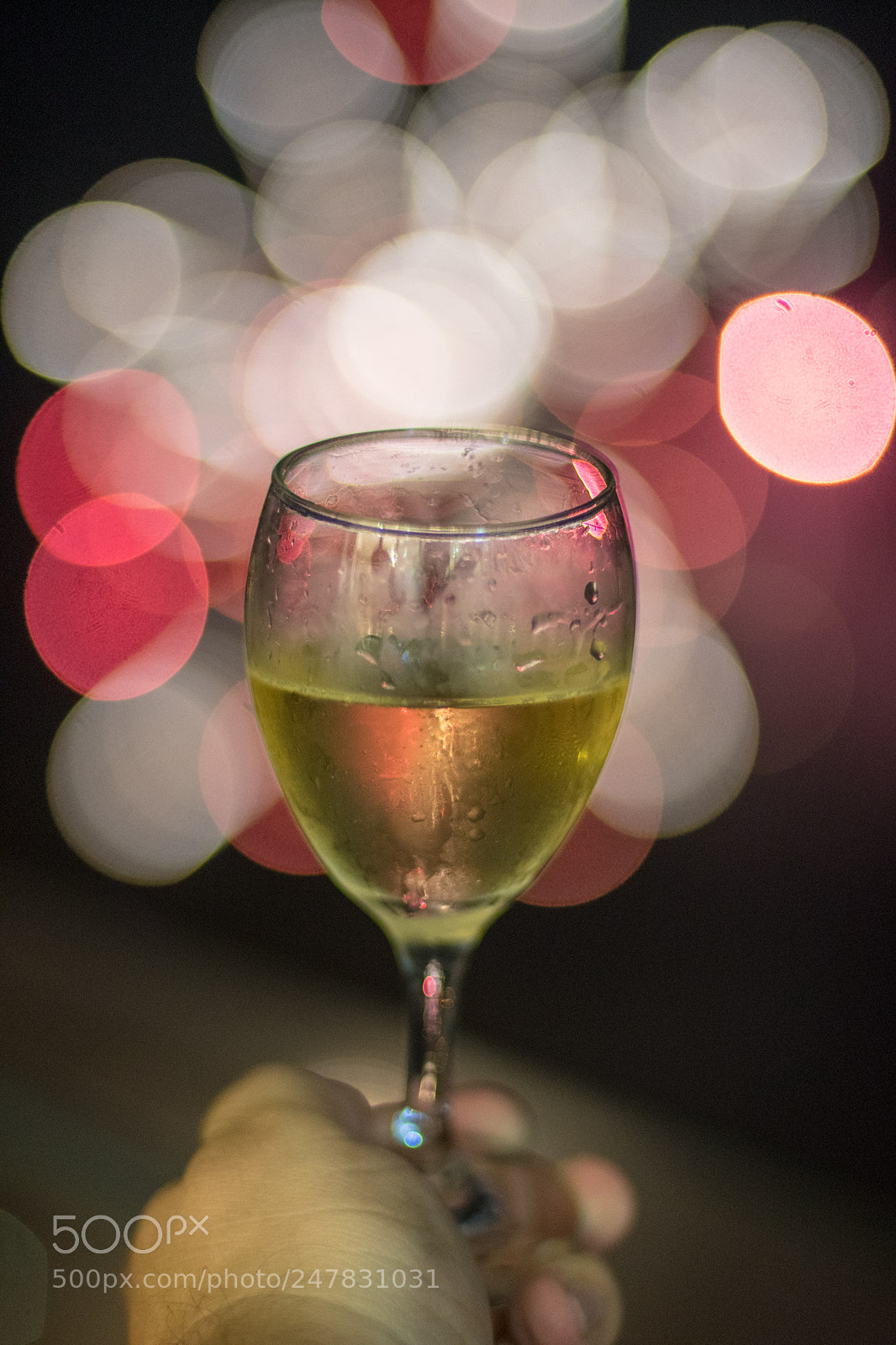 Nikon D500 sample photo. Bokeh 2 photography