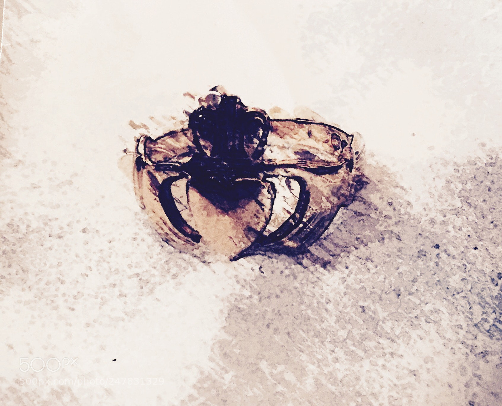 Apple iPhone 6 sample photo. Untitled photography