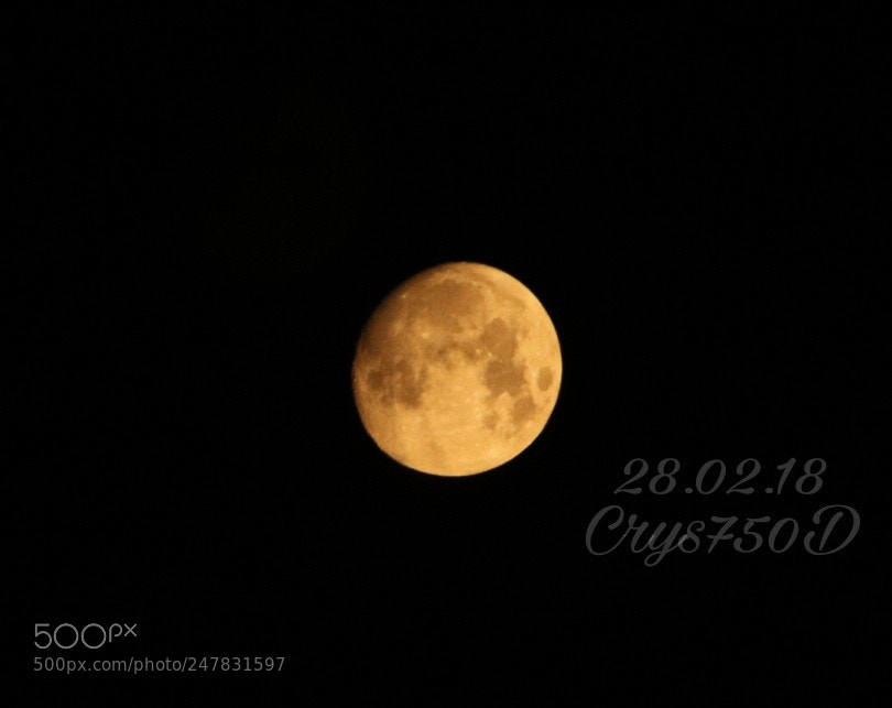 Canon EOS 750D (EOS Rebel T6i / EOS Kiss X8i) sample photo. Untitled photography