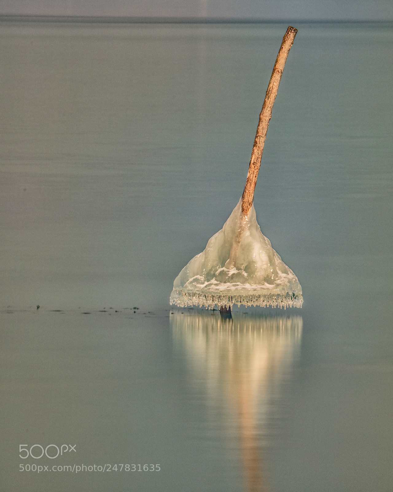 Canon EOS 5DS R sample photo. Popsicle photography