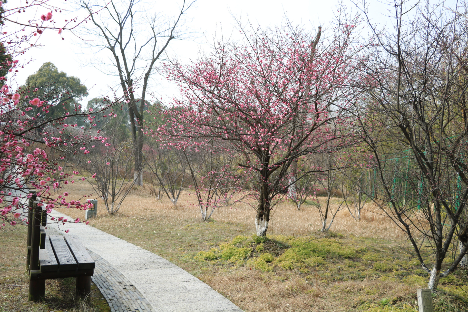 Canon EOS 750D (EOS Rebel T6i / EOS Kiss X8i) sample photo