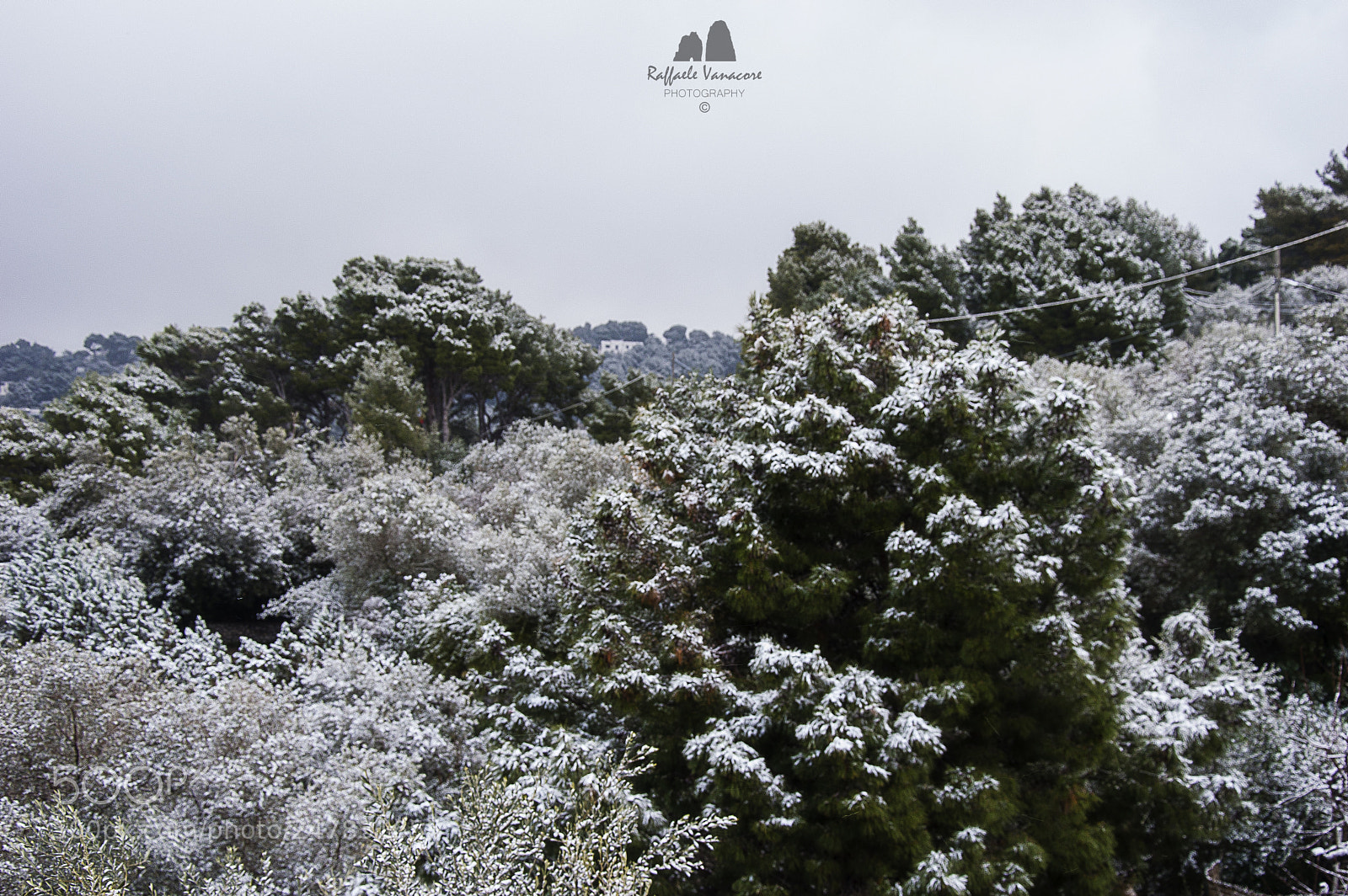 Nikon D3200 sample photo. Neve casa feb photography