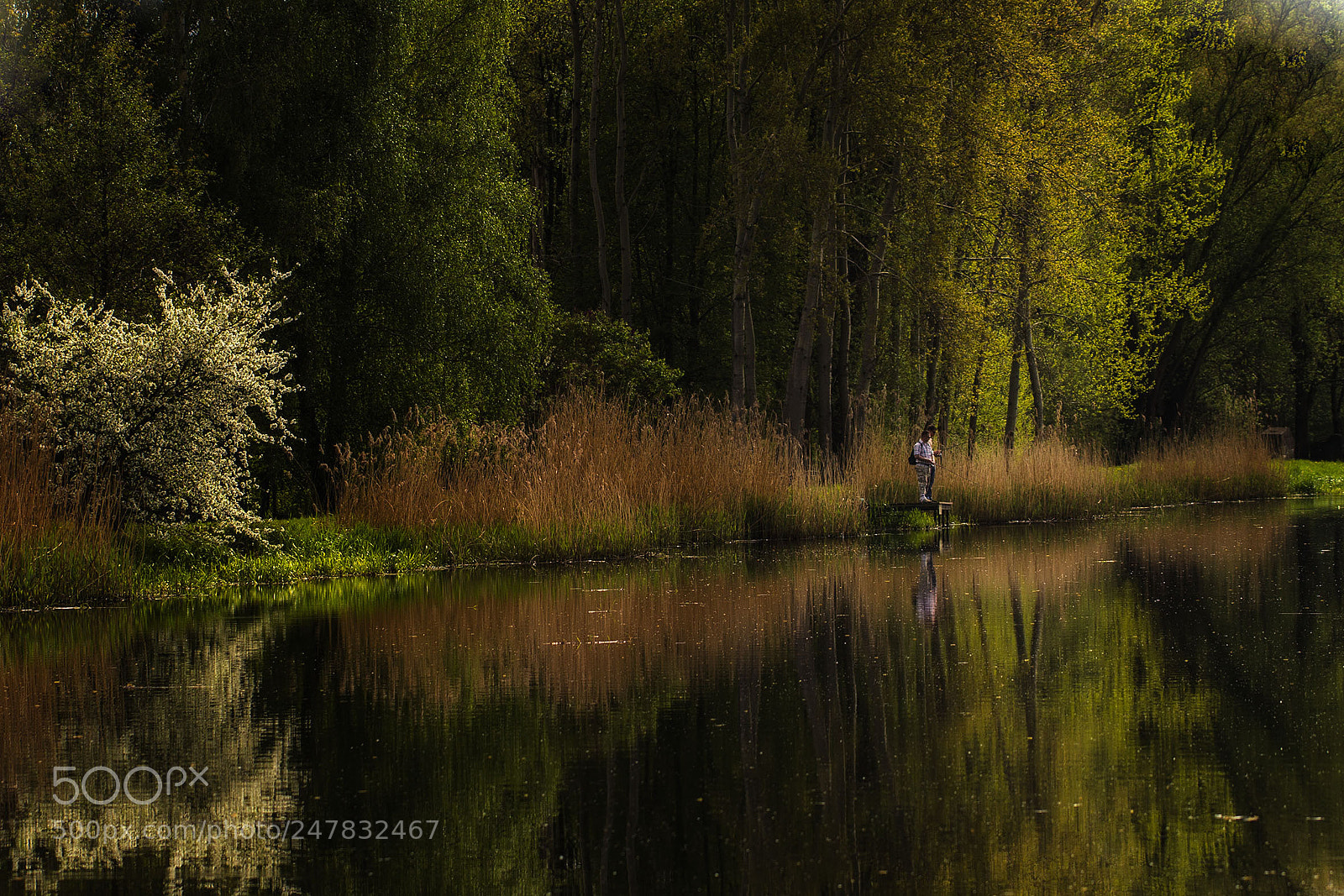 Canon EOS 7D sample photo. Outdoor - fishing photography