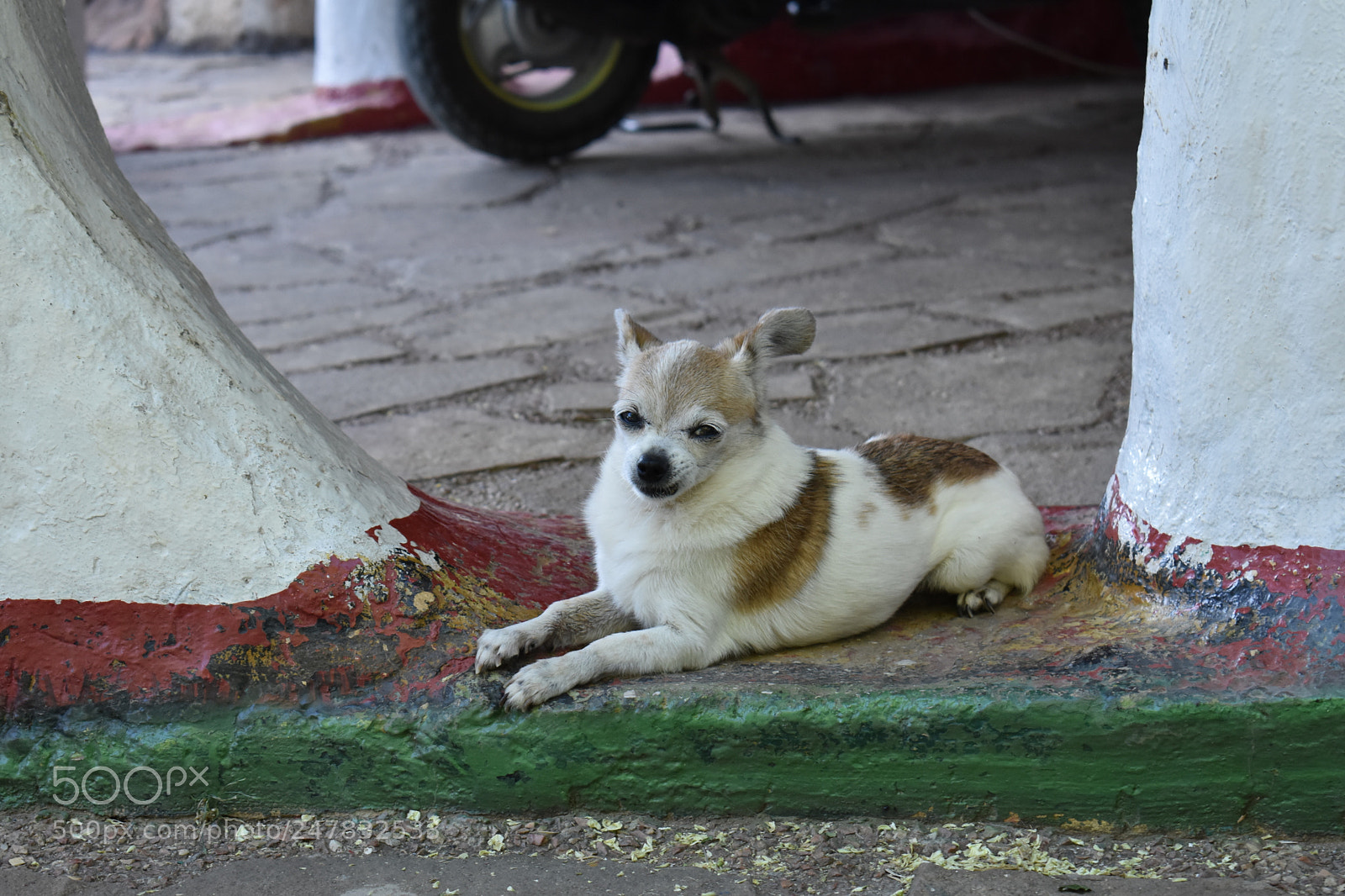 Nikon D3400 sample photo. Untitled photography