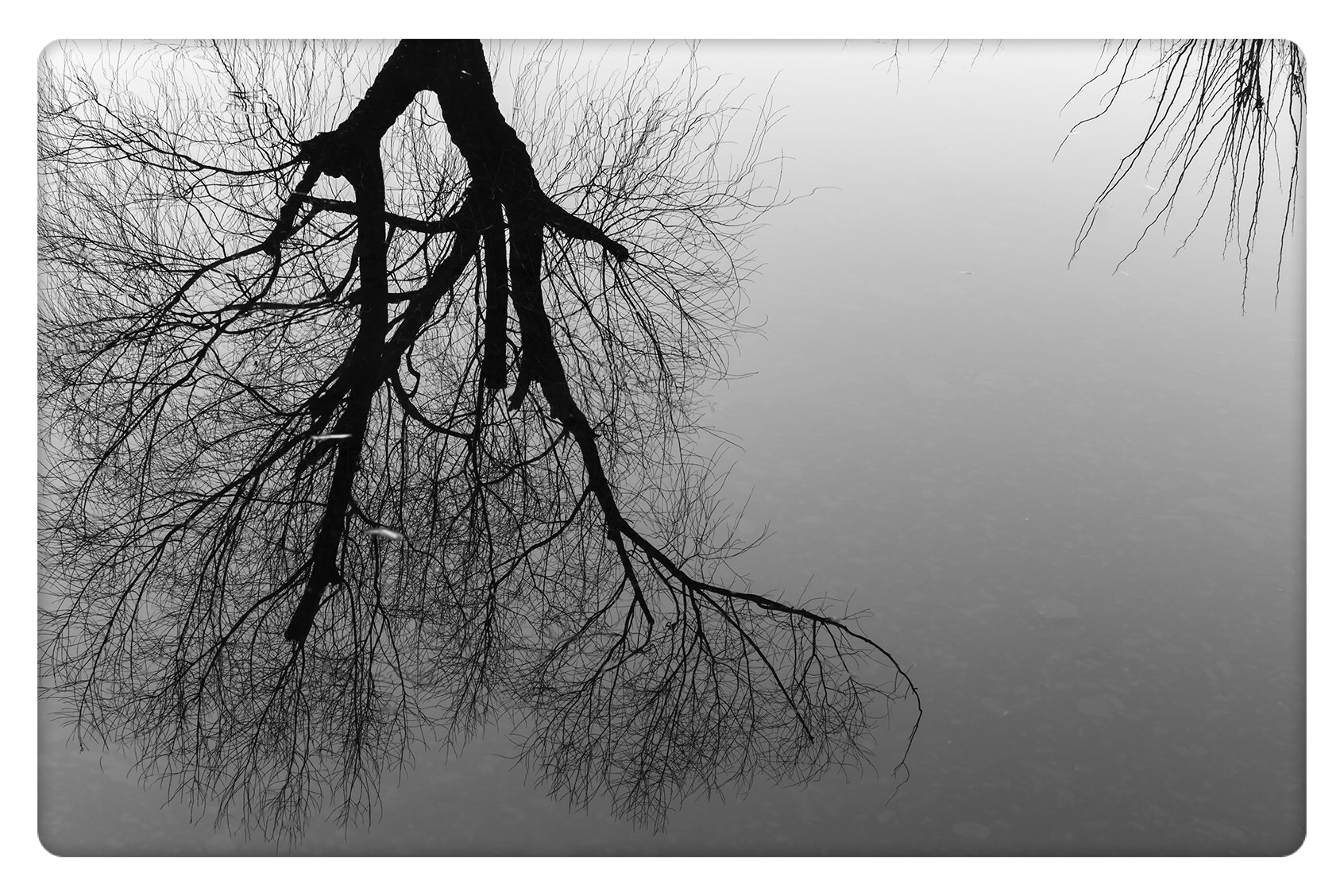 Leica M-Monochrom sample photo. 无题 photography