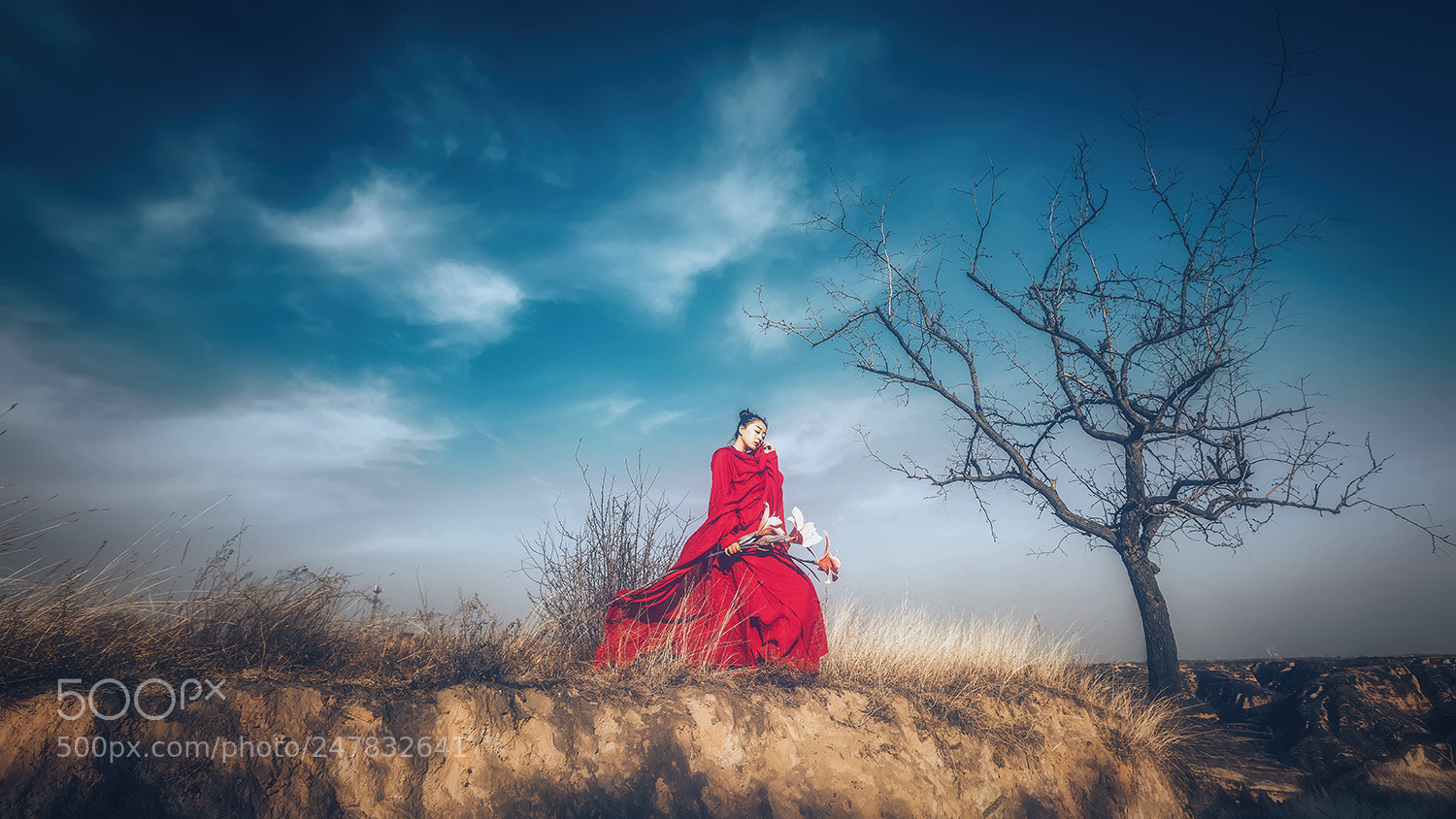Canon EOS 5DS R sample photo. Untitled photography
