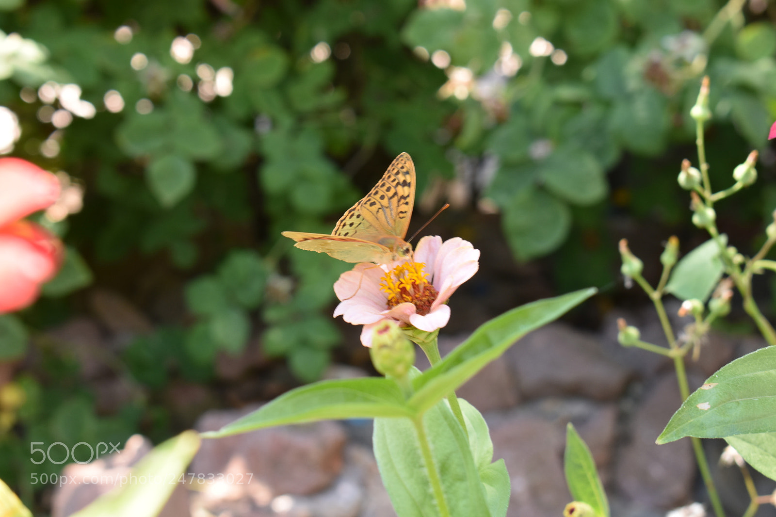 Nikon D3400 sample photo. Untitled photography