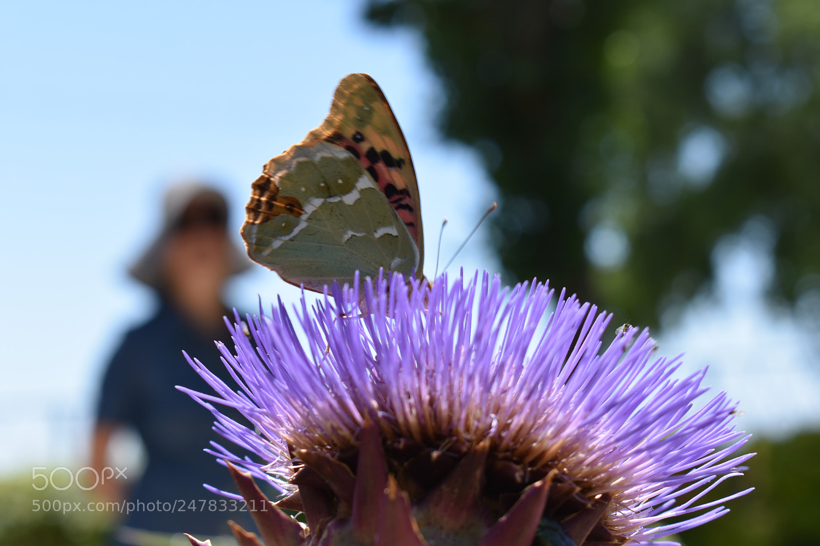Nikon D3400 sample photo. Untitled photography