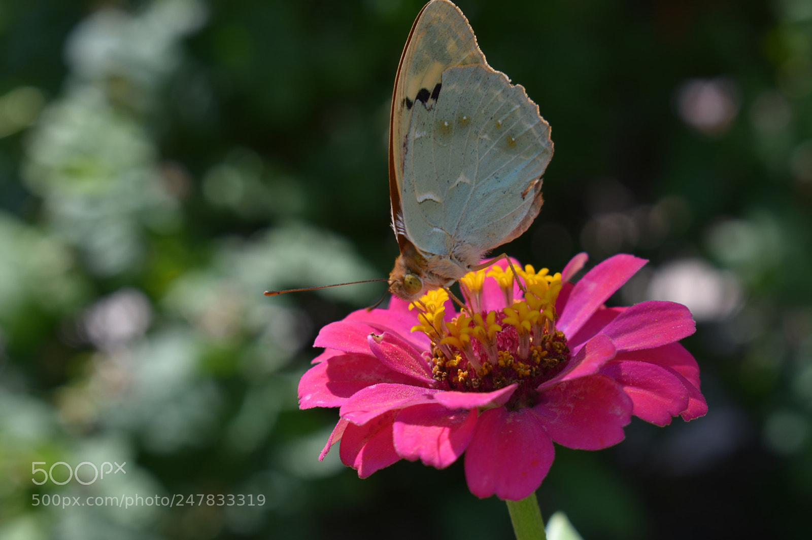 Nikon D3400 sample photo. Untitled photography