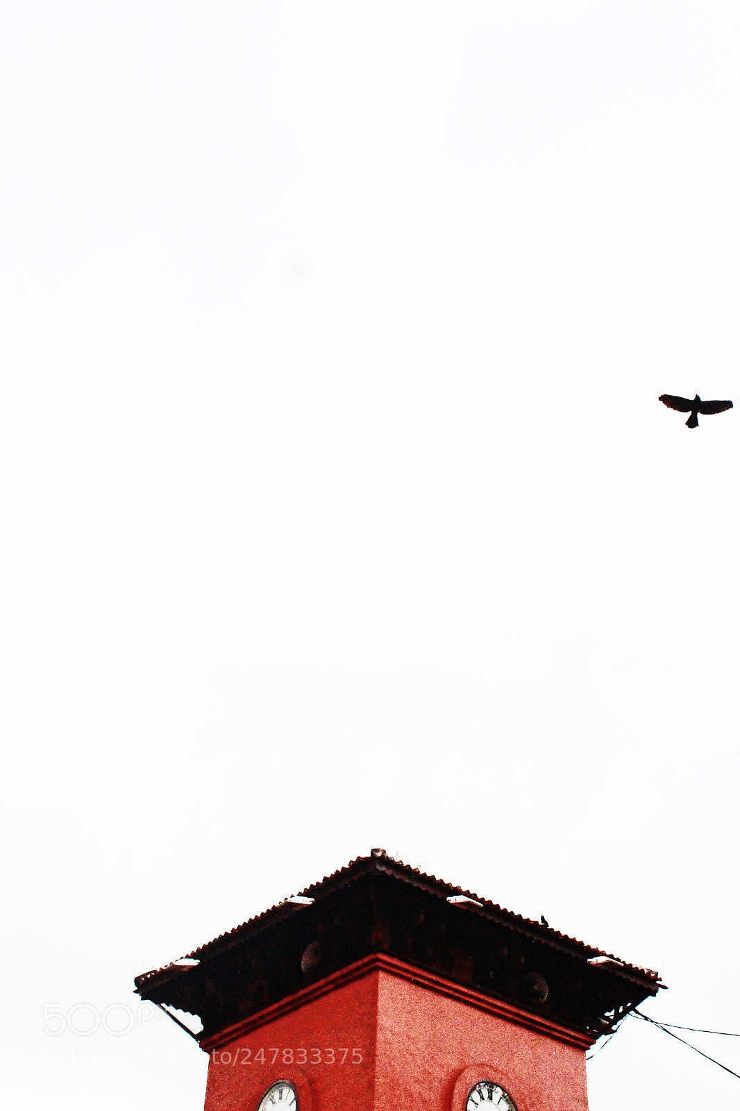 Canon EOS 600D (Rebel EOS T3i / EOS Kiss X5) sample photo. Freze photography