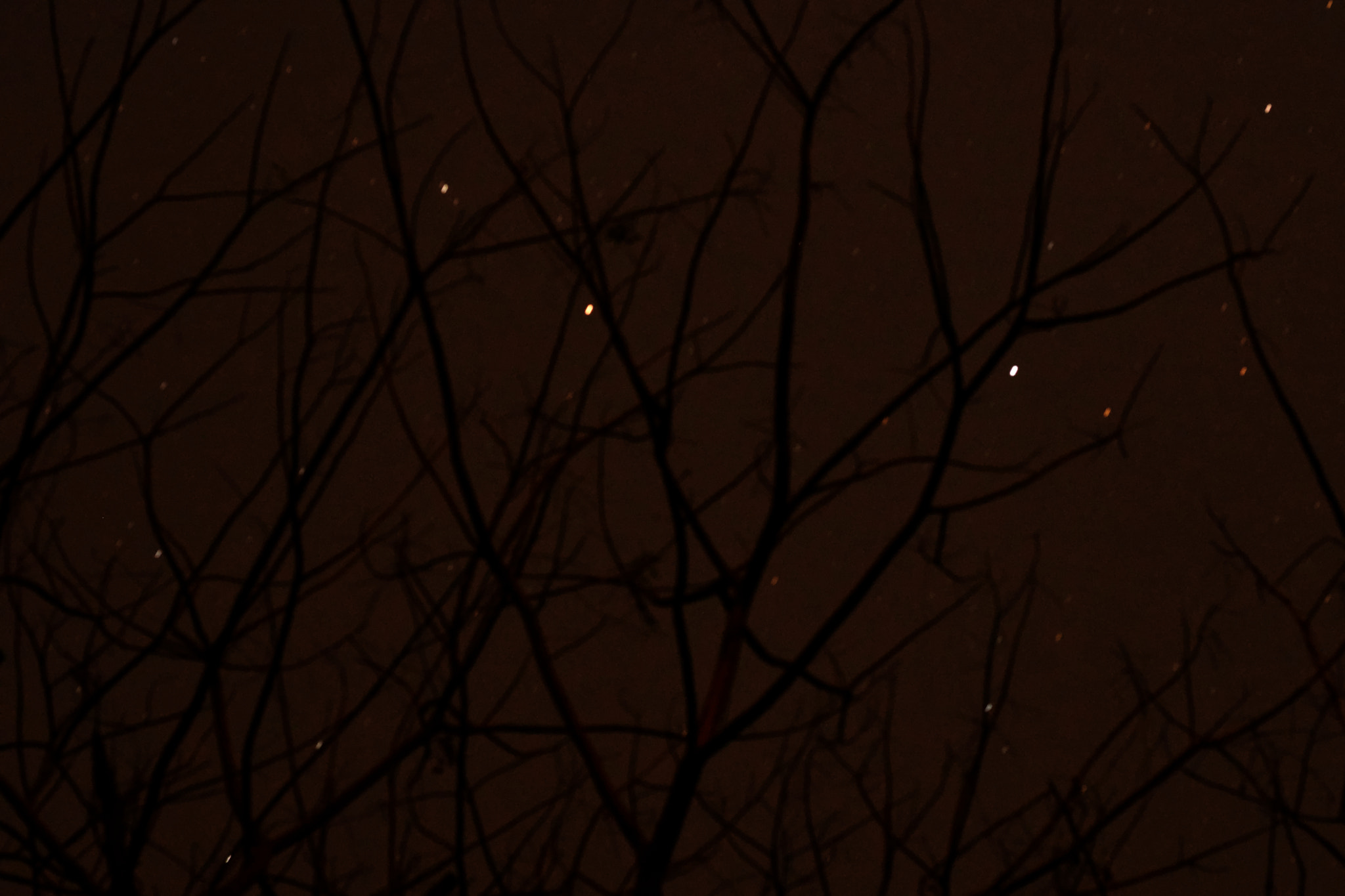 Nikon AF-S Nikkor 50mm F1.8G sample photo. The dark night photography