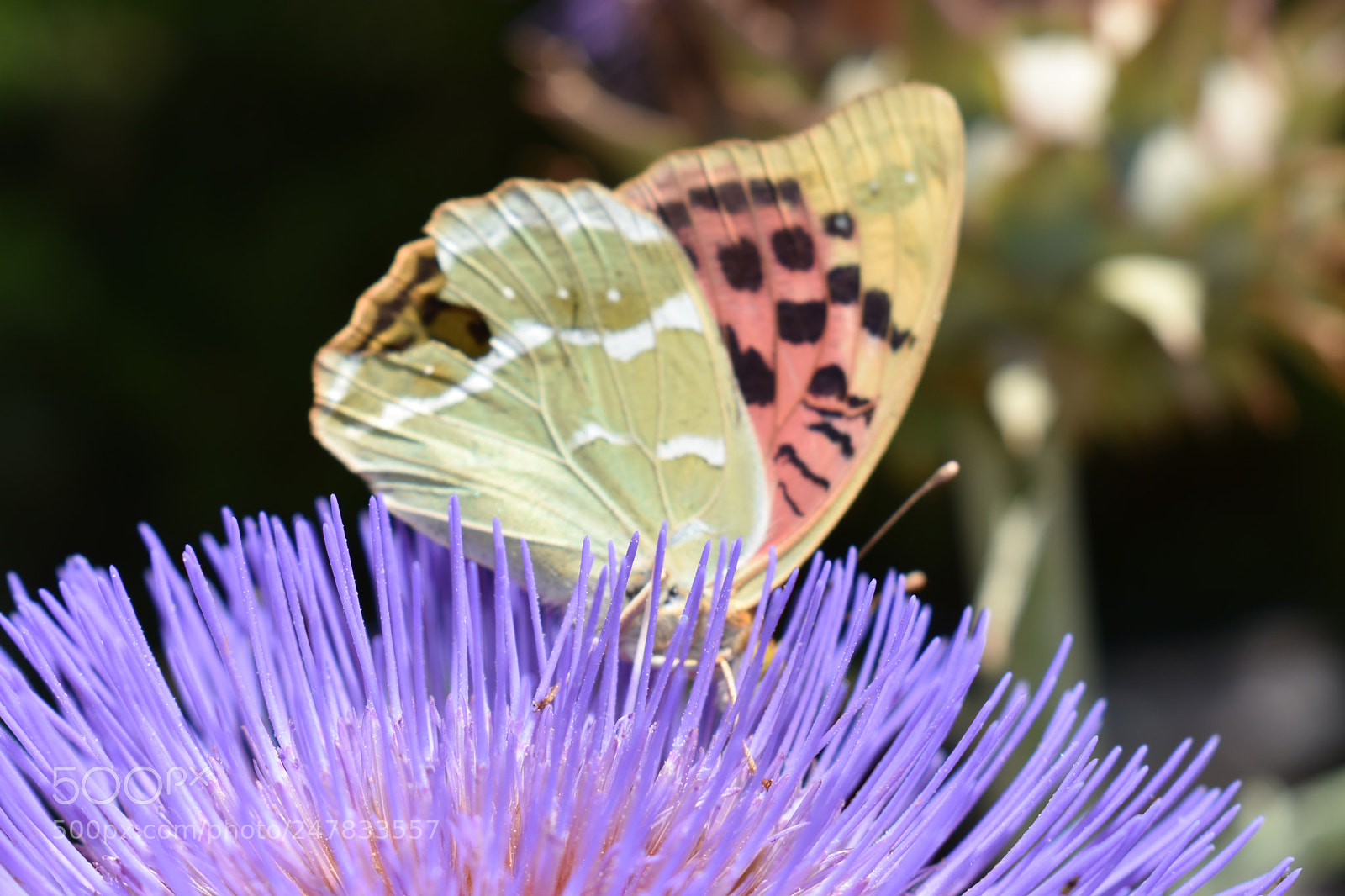 Nikon D3400 sample photo. Untitled photography