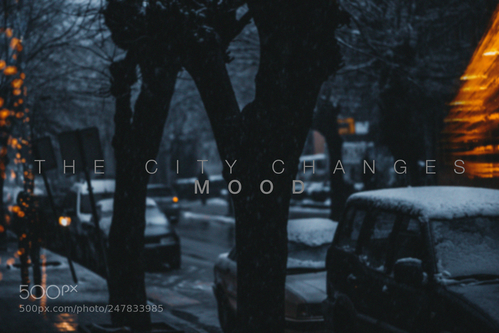 Nikon D800 sample photo. City photography