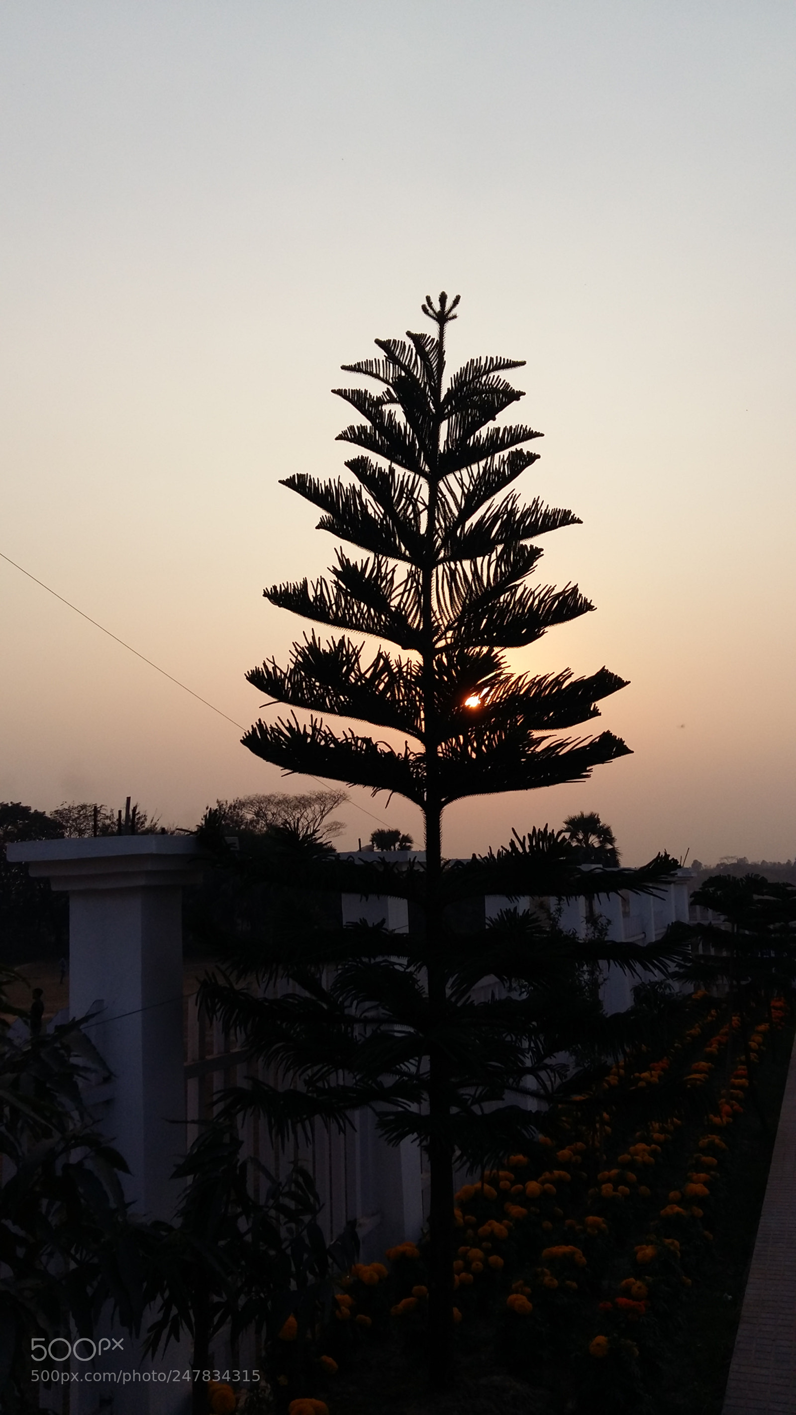 Samsung Galaxy A5 sample photo. Pyramid photography