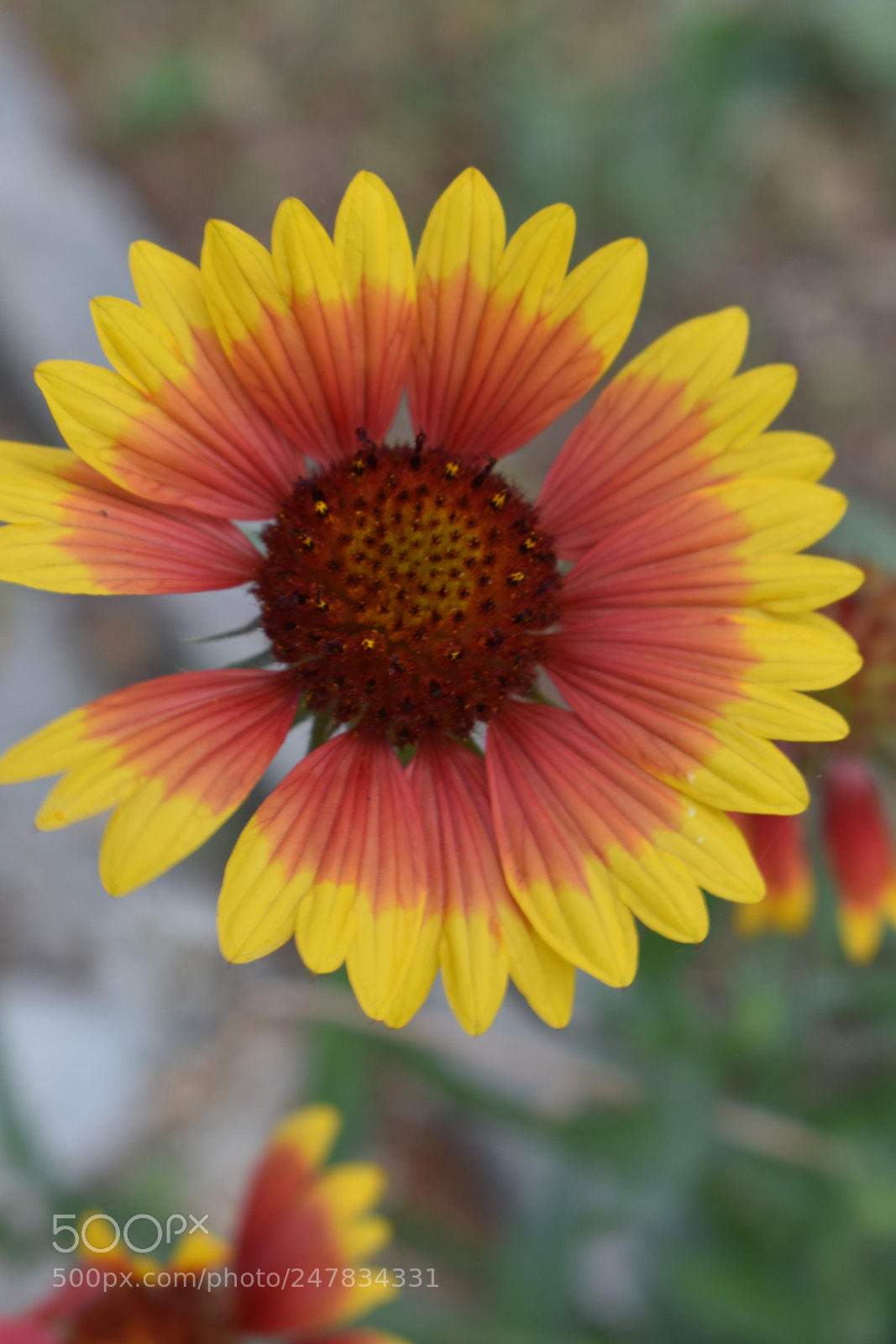 Nikon D3400 sample photo. Untitled photography