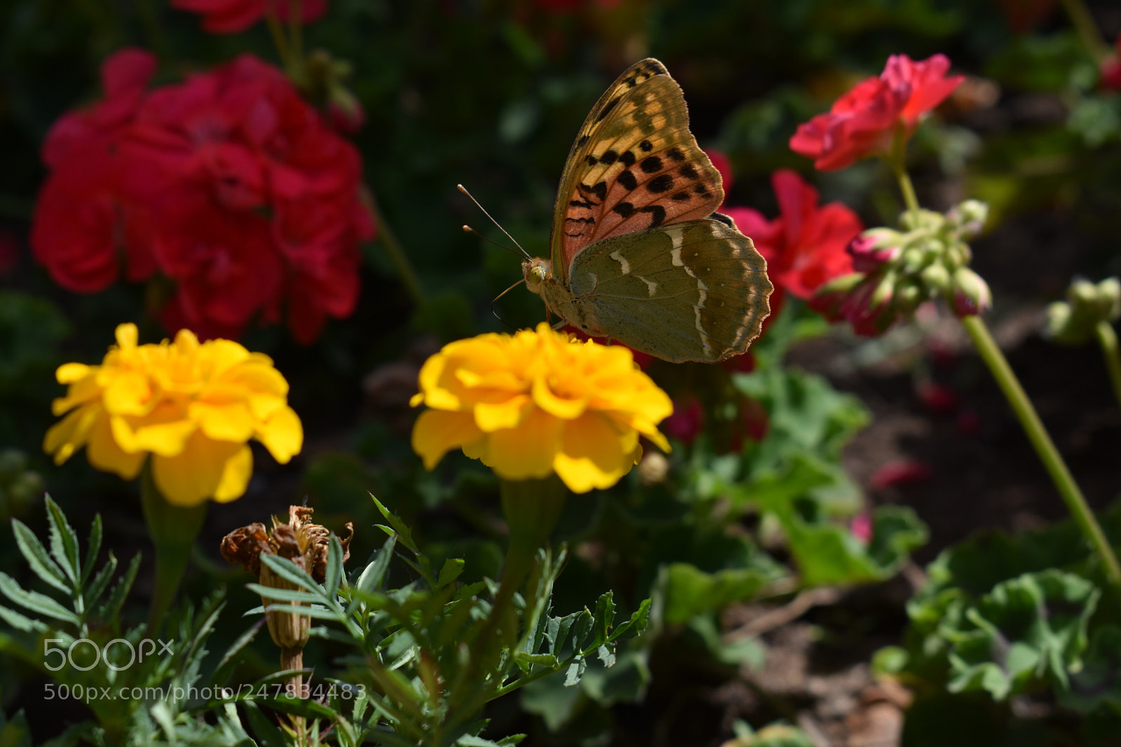 Nikon D3400 sample photo. Untitled photography