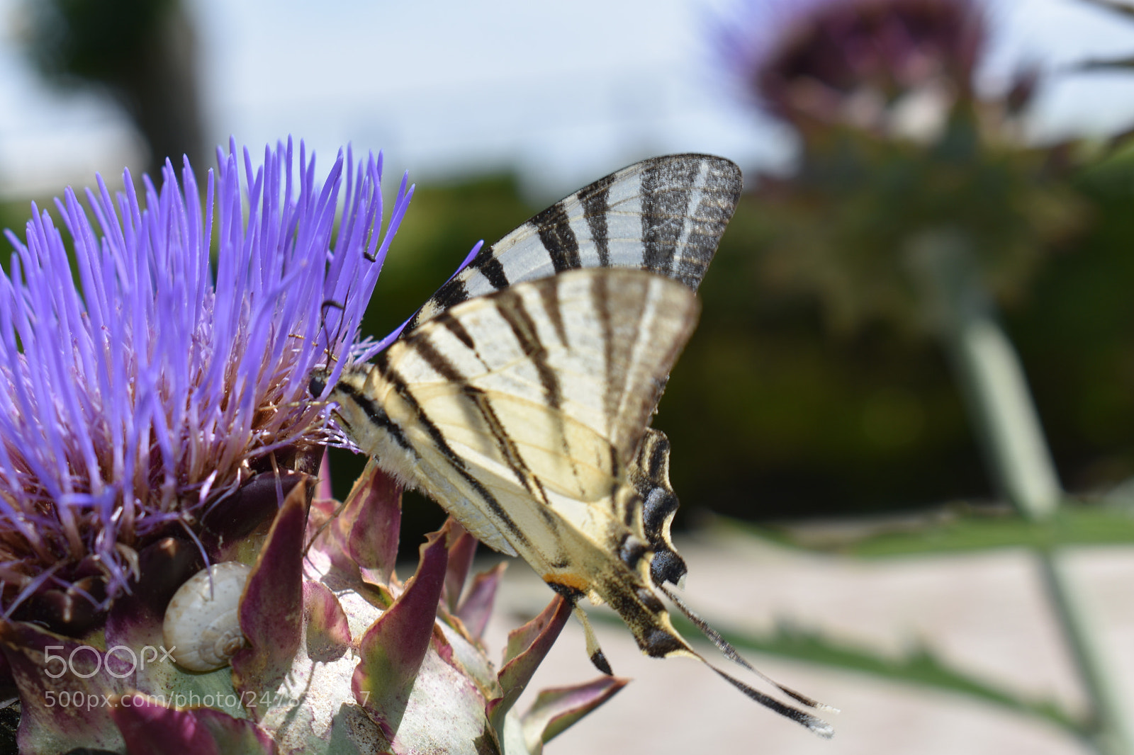 Nikon D3400 sample photo. Untitled photography