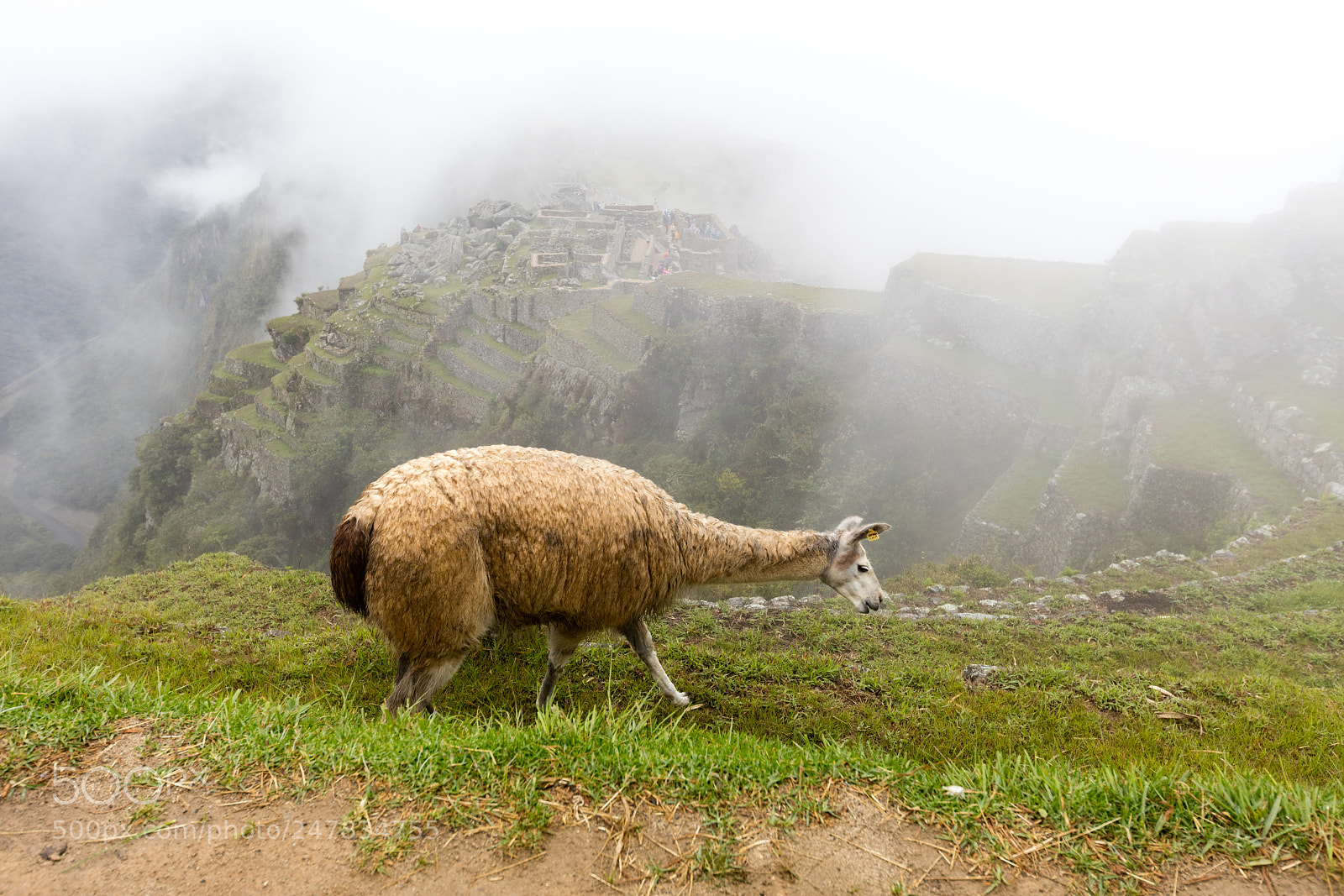 Canon EOS 5DS R sample photo. Machu picchu , peru, photography