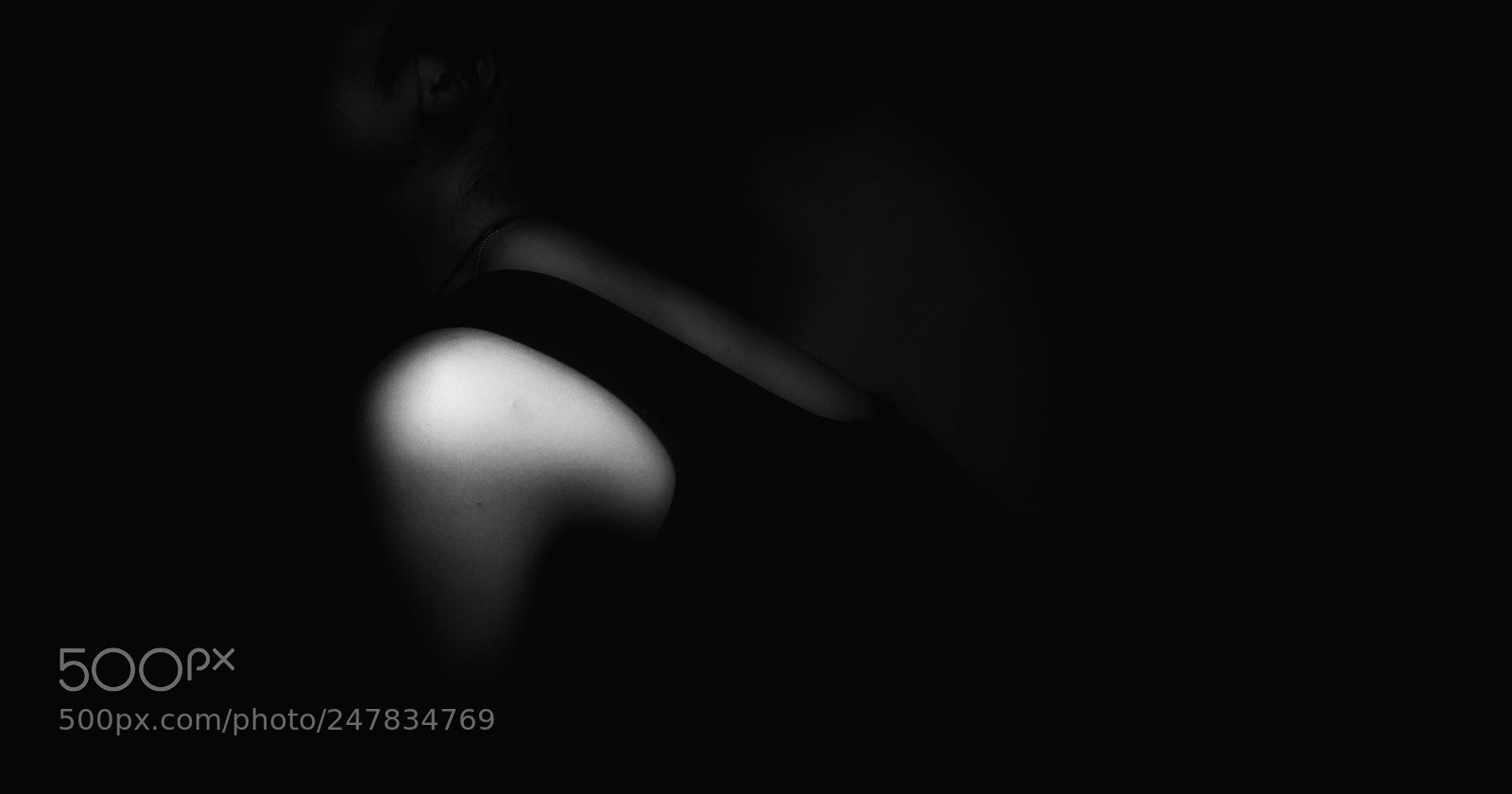 Canon EOS 80D sample photo. Untitled photography