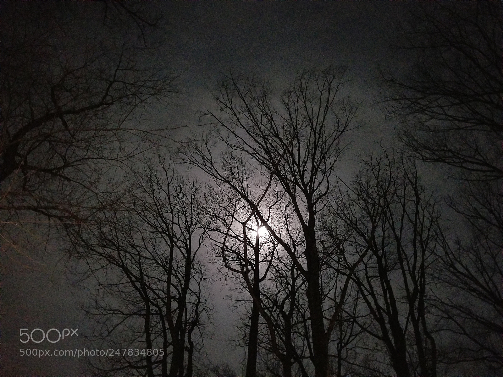 Samsung Galaxy S8+ sample photo. Creepy photography