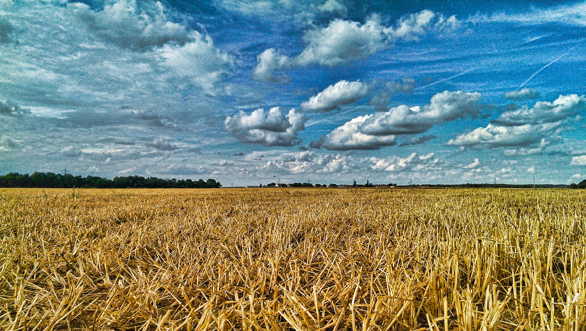 HTC ONE sample photo. Dreaming of vincent photography