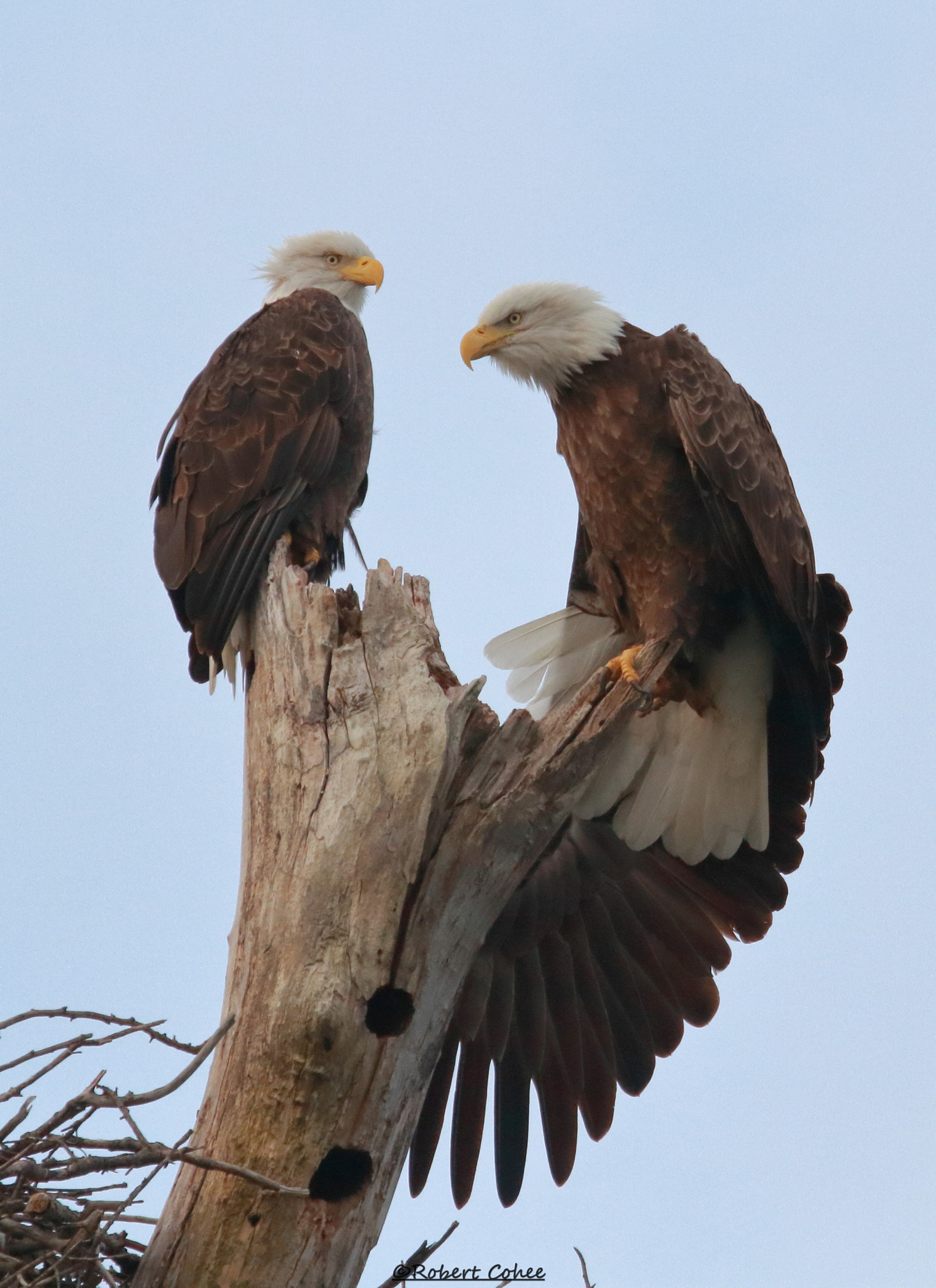 Canon EF 100-400mm F4.5-5.6L IS USM sample photo. Img photography