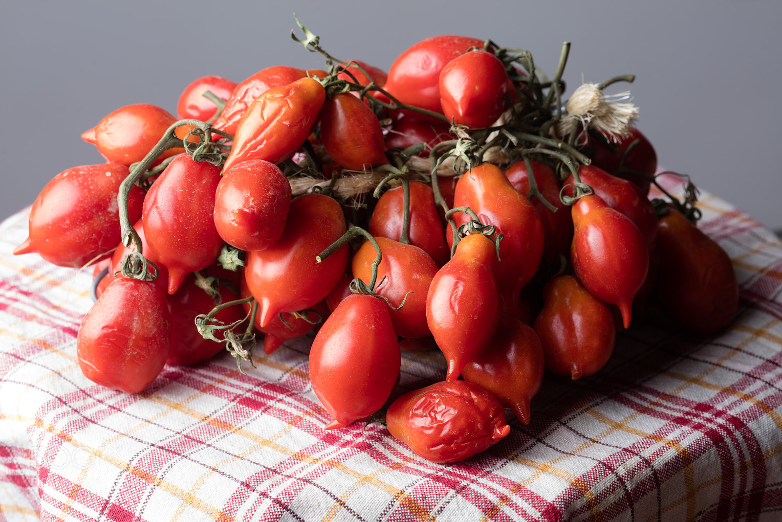 Canon EOS 5DS R sample photo. Tomatoes of vesuvius photography