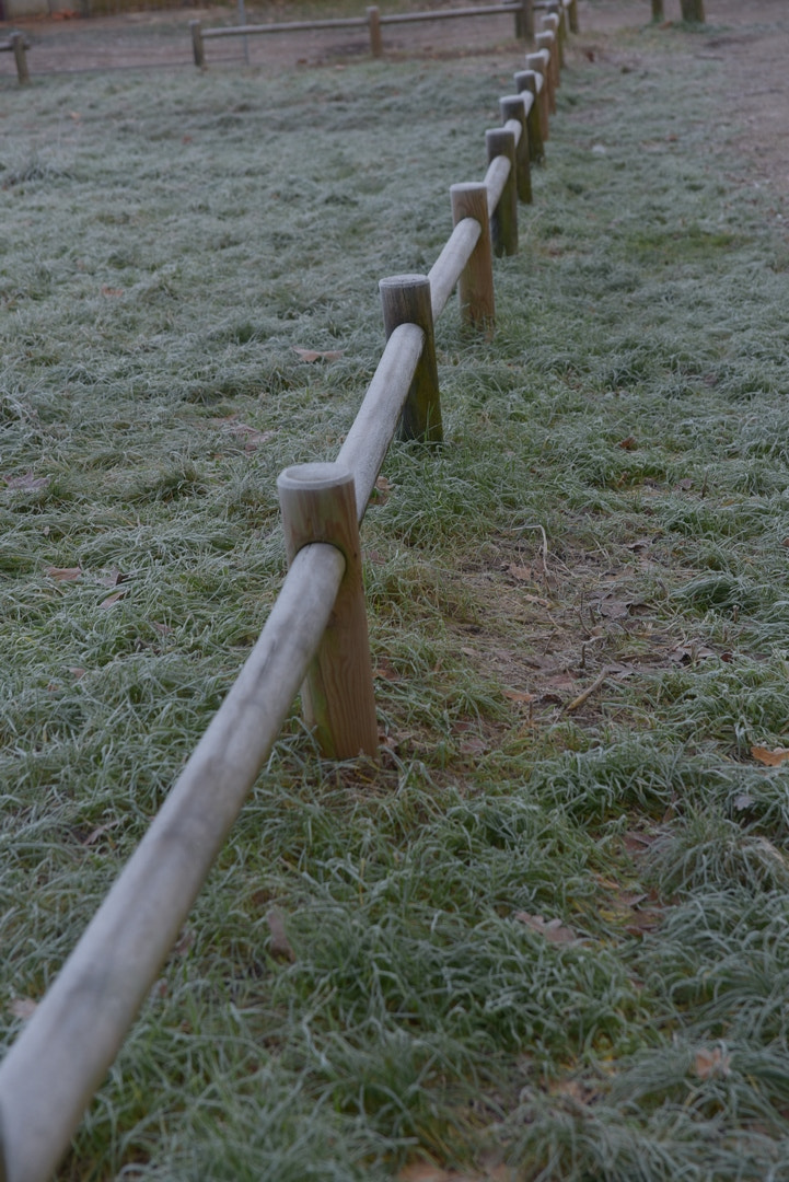 Sigma 24-70mm F2.8 EX DG HSM sample photo. 810_5310r.jpg photography