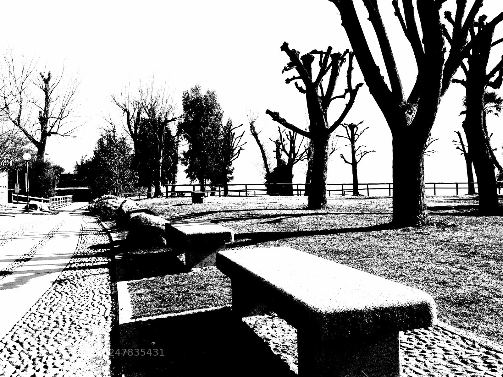 Apple iPhone 5 sample photo. Walk photography