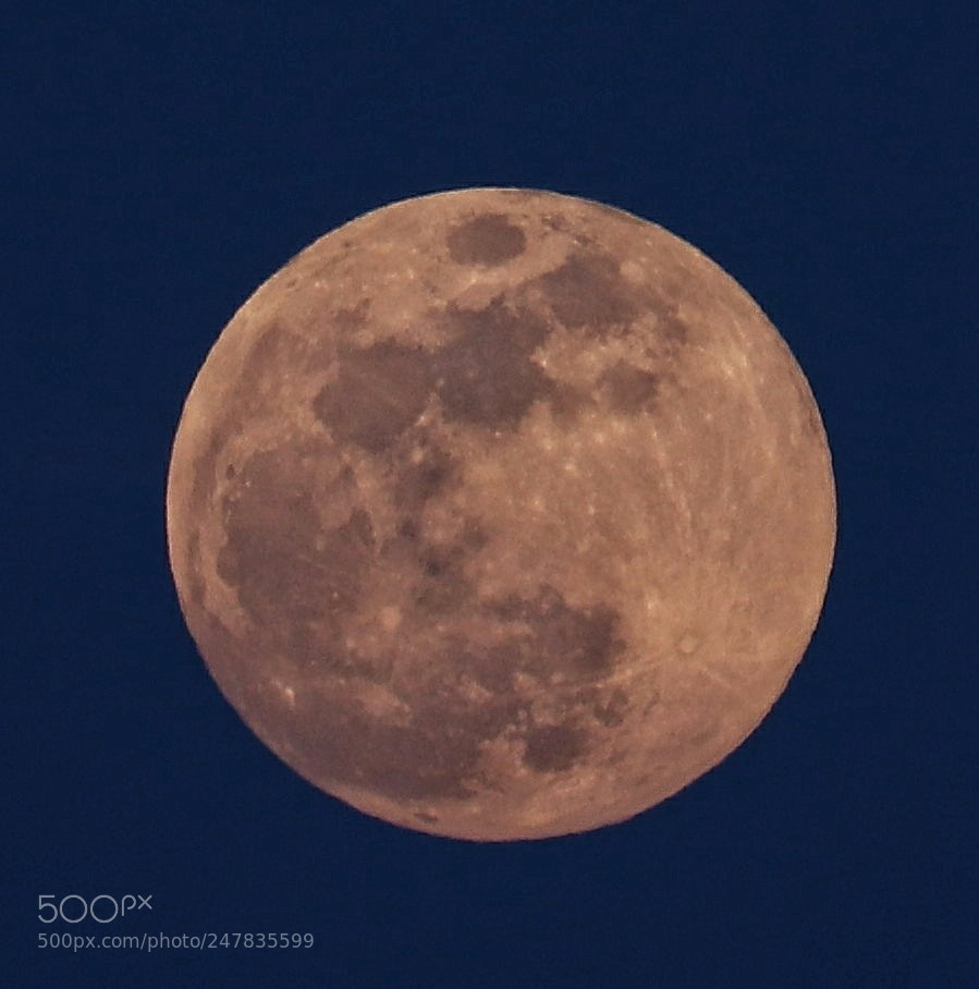 Canon EOS 200D (EOS Rebel SL2 / EOS Kiss X9) sample photo. Moon photography