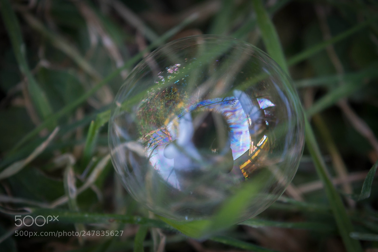 Nikon D5200 sample photo. Soapbubble photography