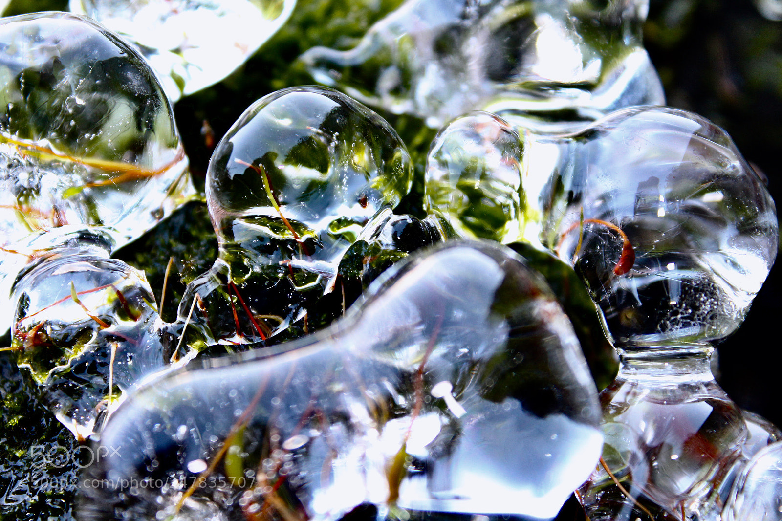 Canon EOS 1300D (EOS Rebel T6 / EOS Kiss X80) sample photo. Ice bubbles photography