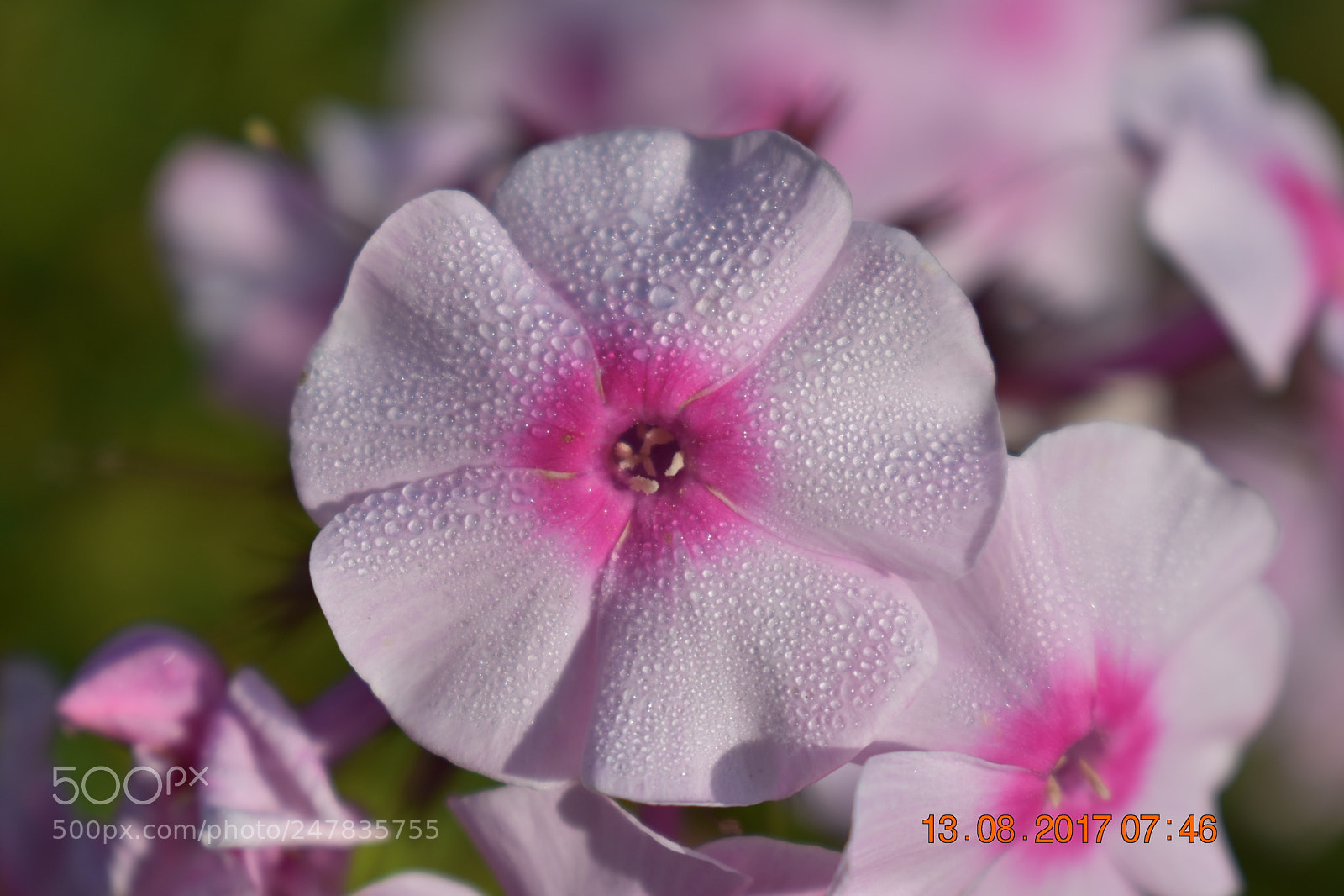 Nikon D3400 sample photo. Untitled photography