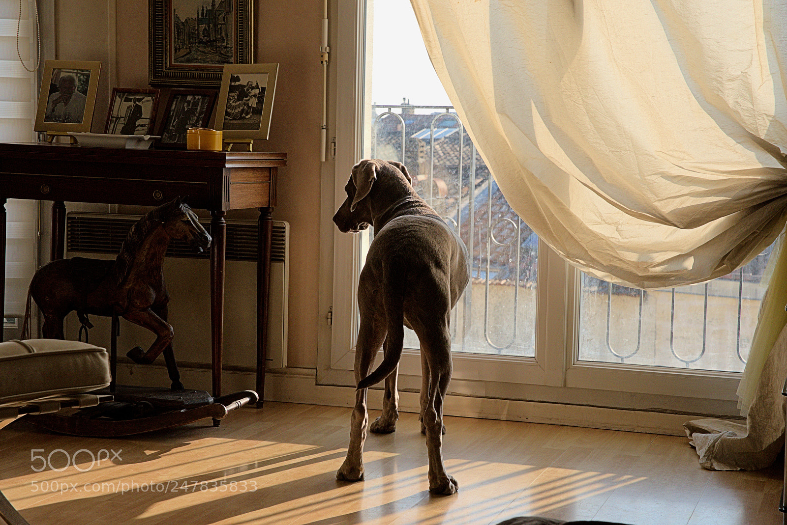 Nikon D810 sample photo. 810_5811.jpg photography