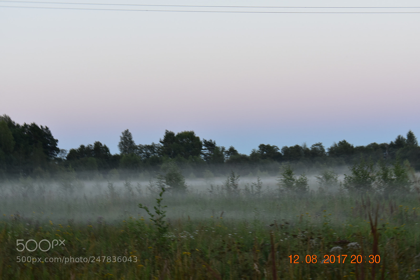 Nikon D3400 sample photo. Untitled photography