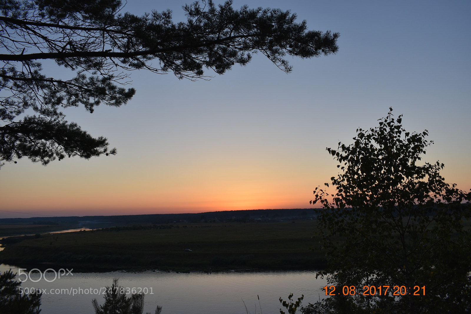 Nikon D3400 sample photo. Untitled photography