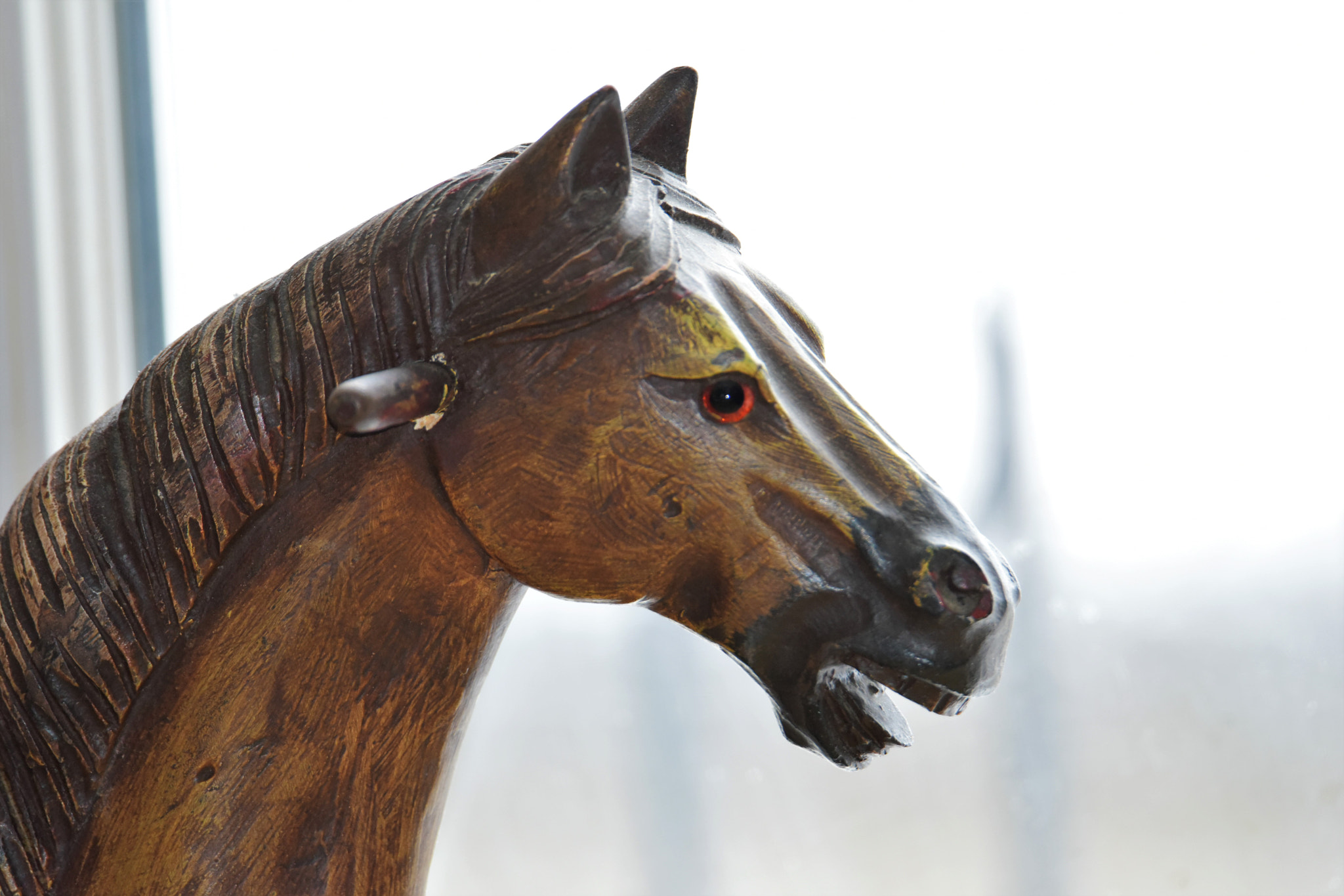 Nikon D810 sample photo. 810_5859.jpg photography