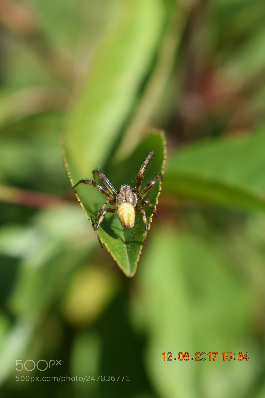 Nikon D3400 sample photo. Untitled photography