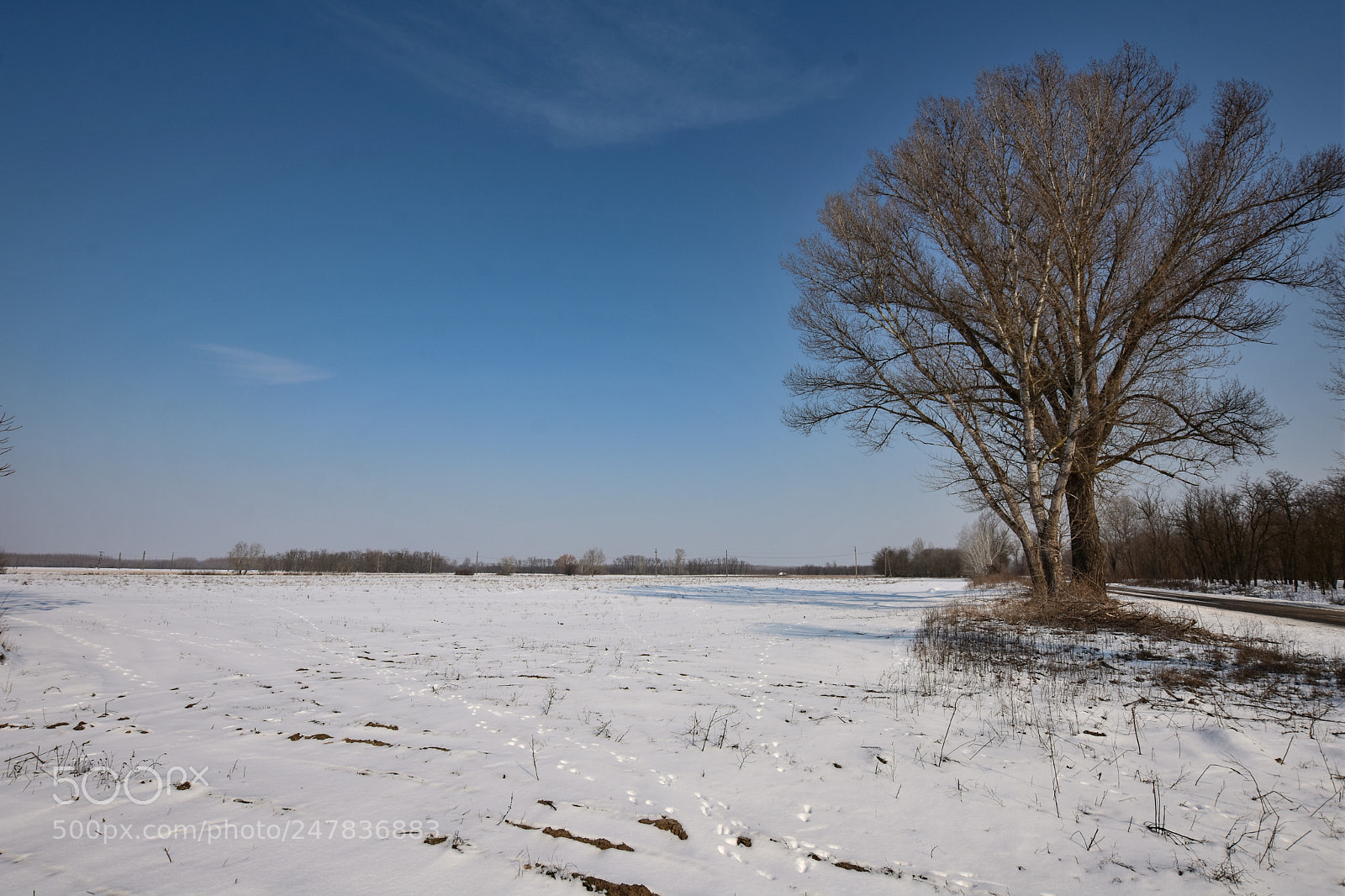 Nikon D7200 sample photo. Untitled photography