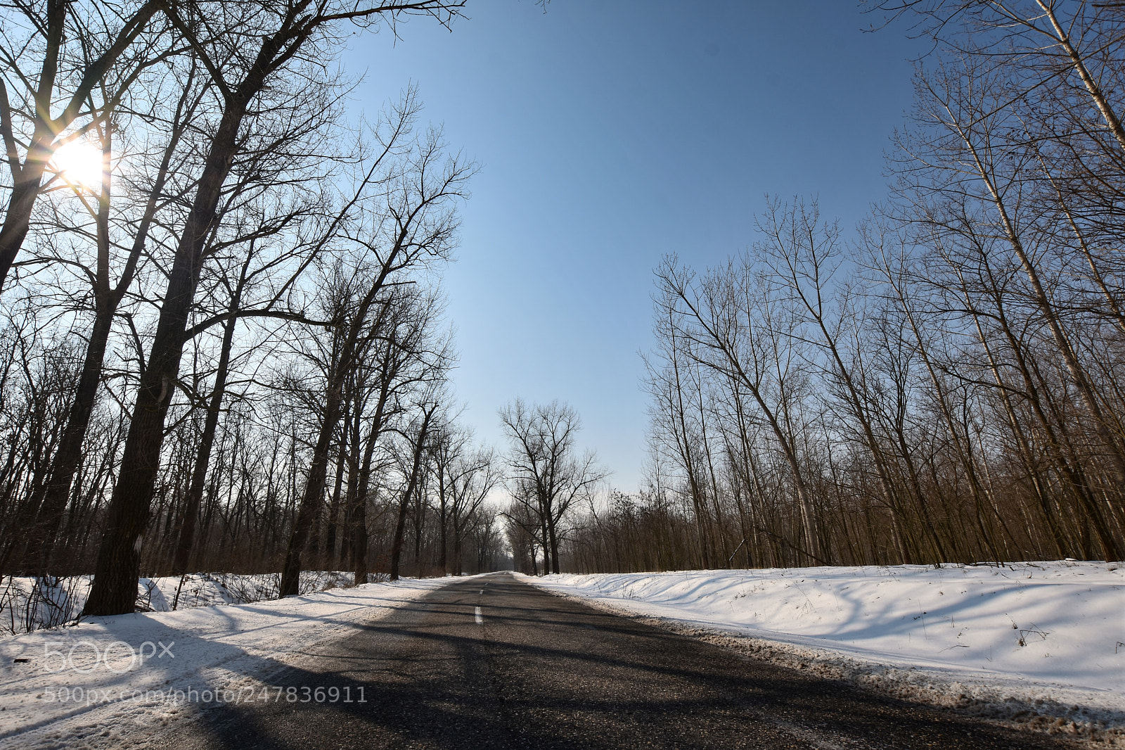 Nikon D7200 sample photo. Untitled photography