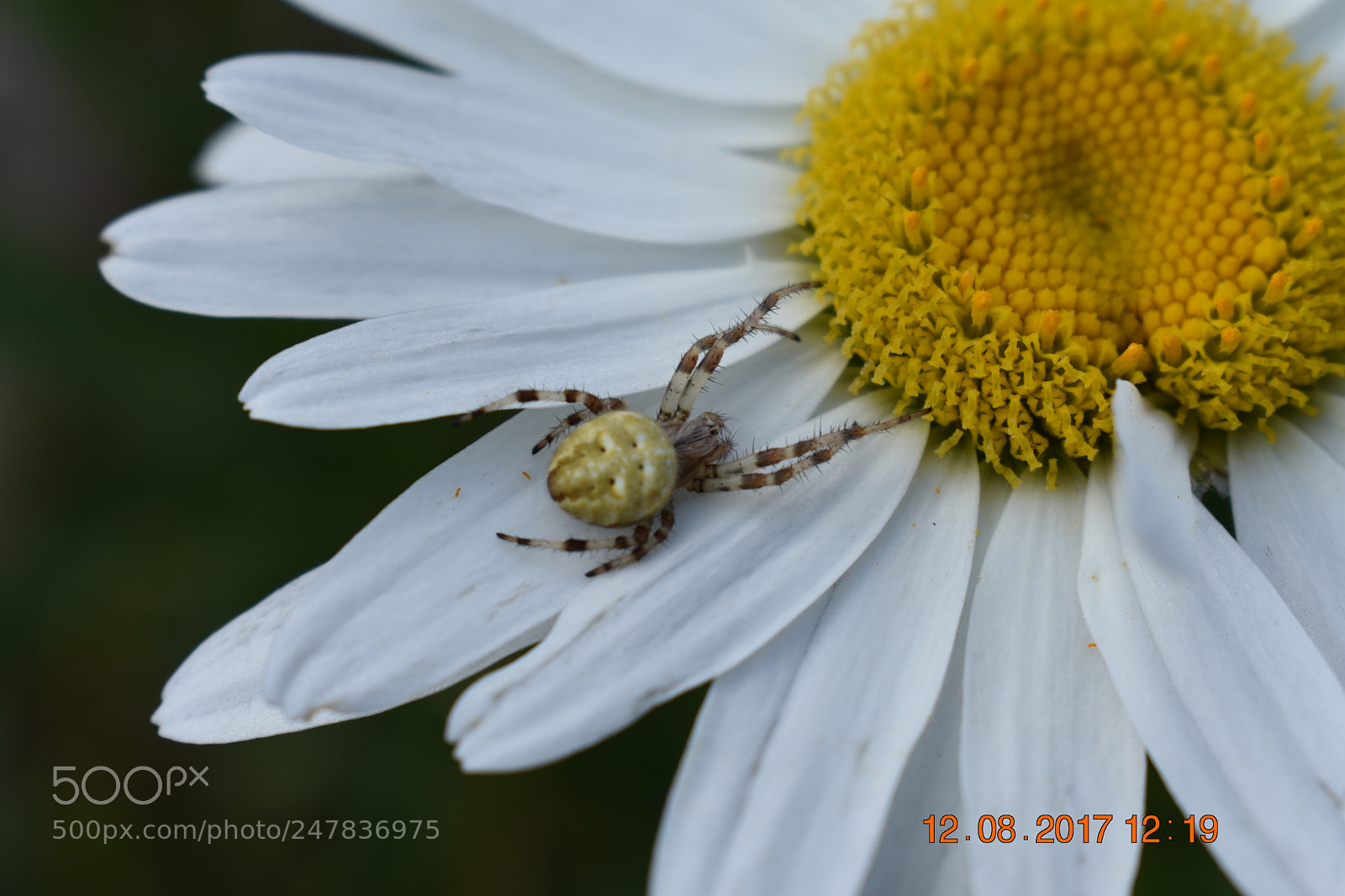 Nikon D3400 sample photo. Untitled photography