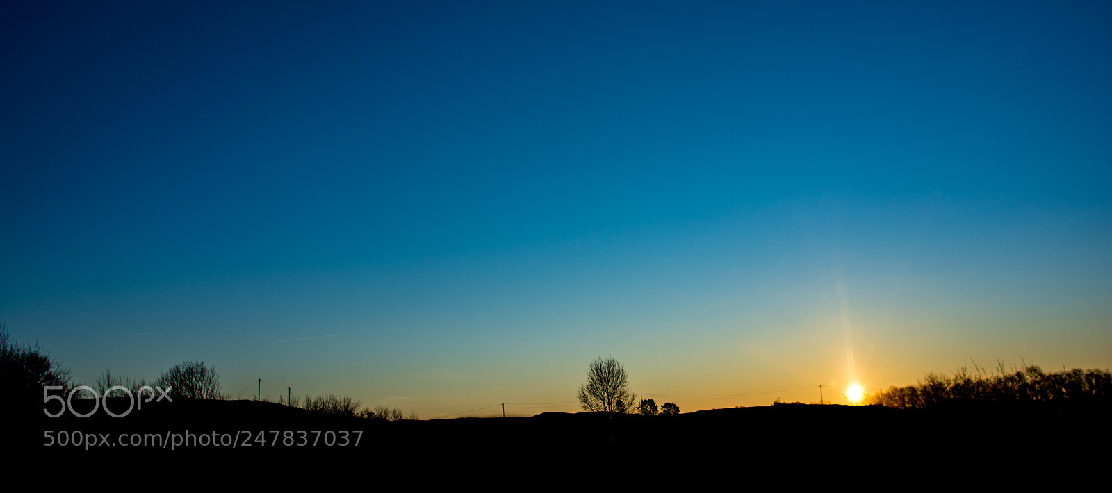 Nikon D7100 sample photo. Day 708 photography