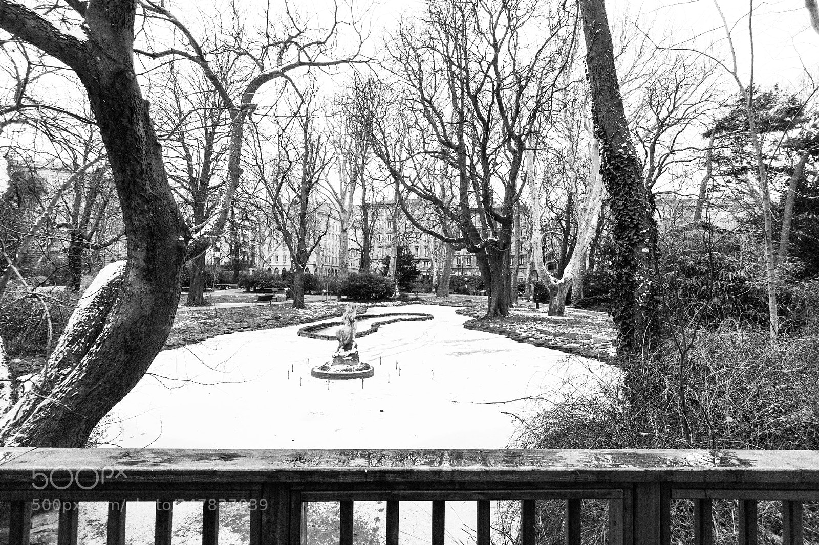 Canon EOS 7D sample photo. Trieste snow photography