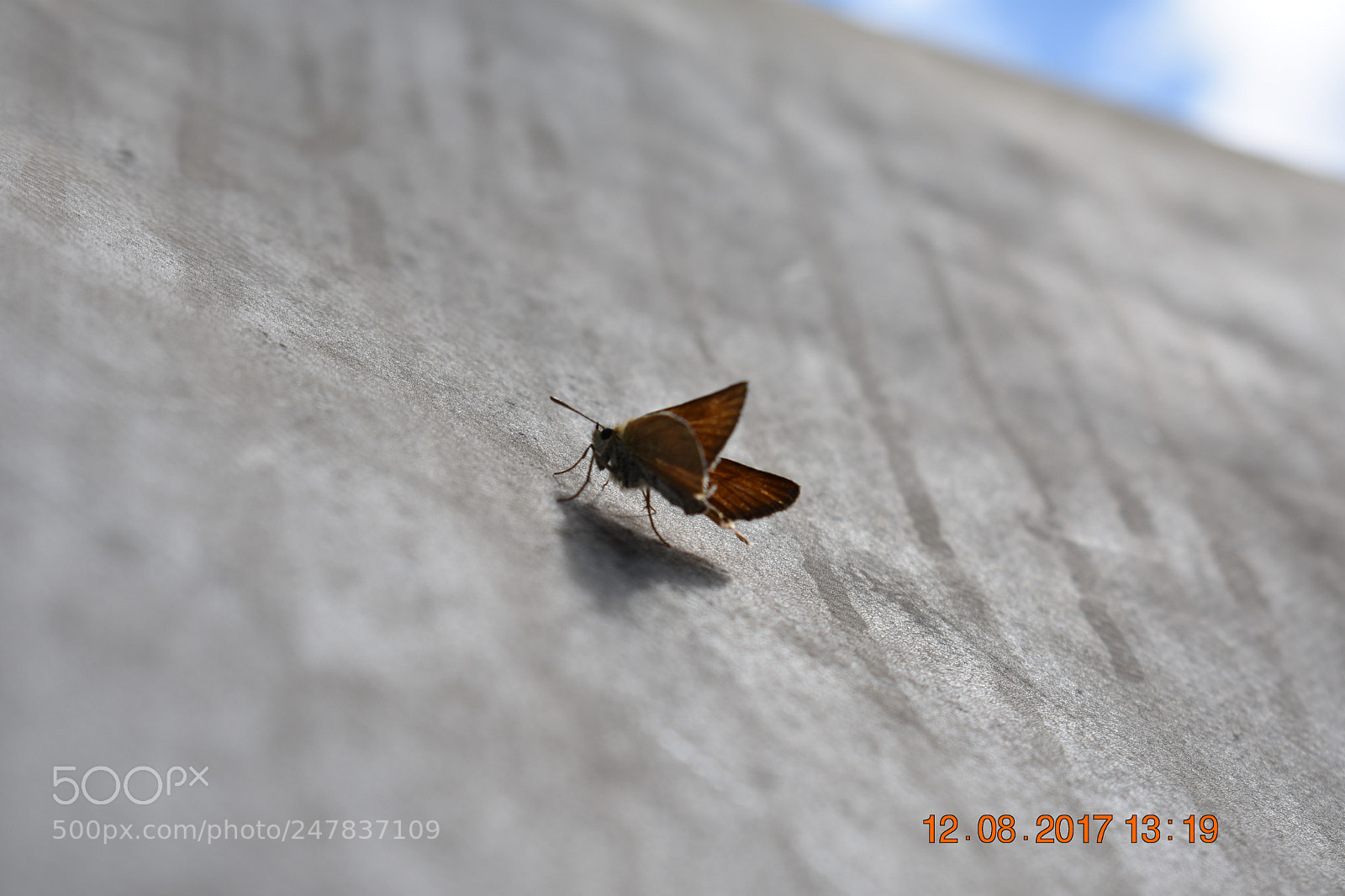 Nikon D3400 sample photo. Untitled photography