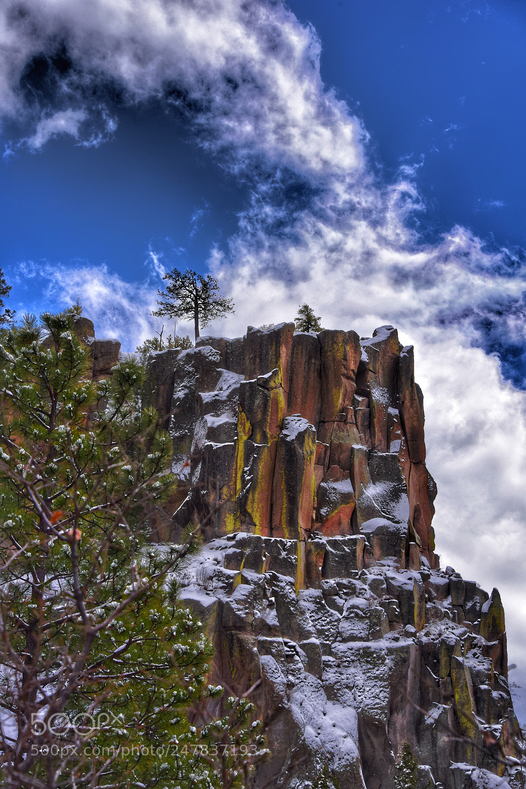 Nikon D810 sample photo. Winter meditation, jemez, new photography