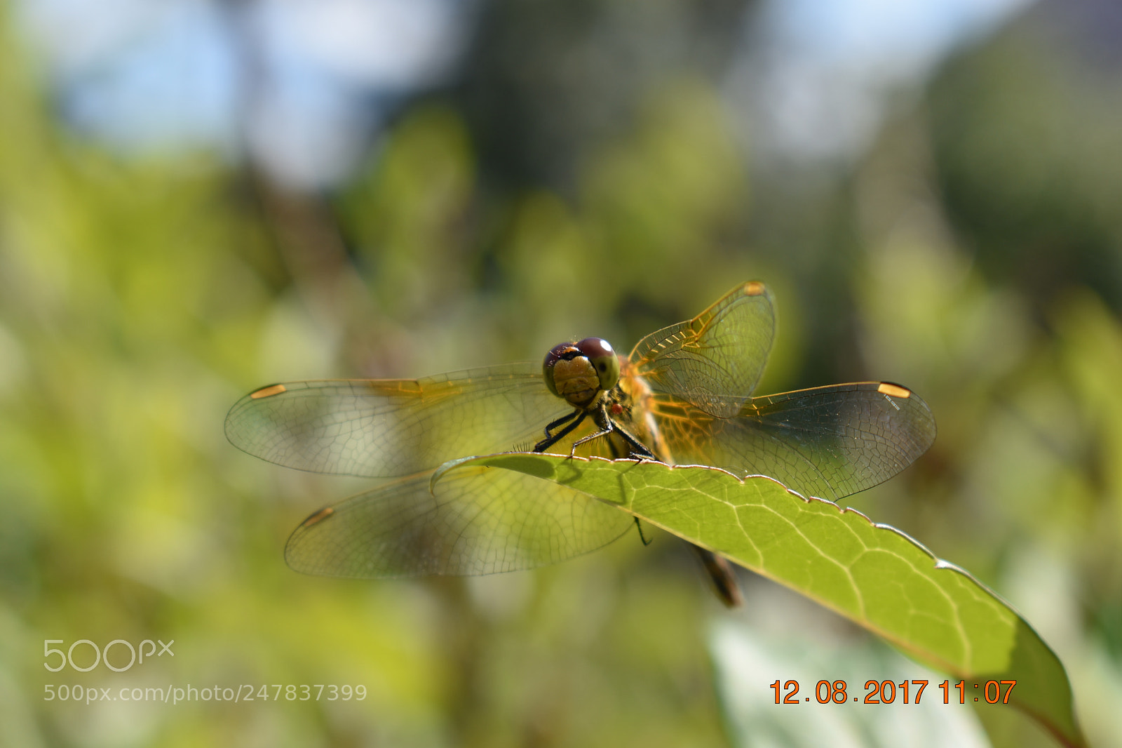 Nikon D3400 sample photo. Untitled photography