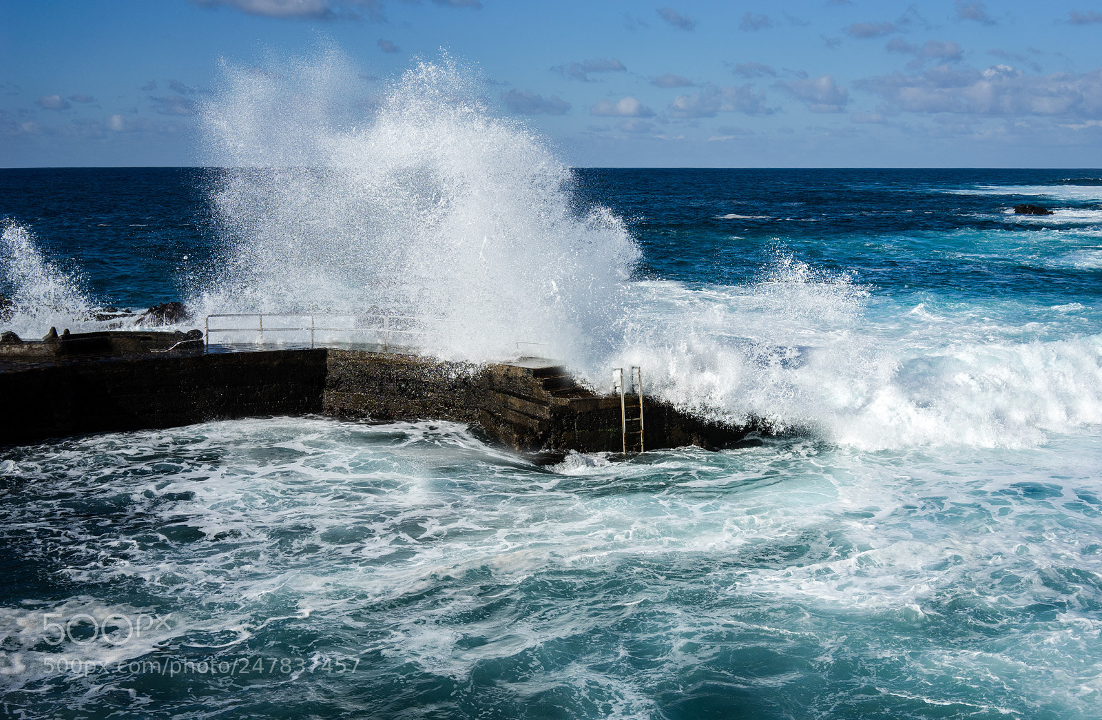 Sony a7 sample photo. Swimming & shower, anyone? photography