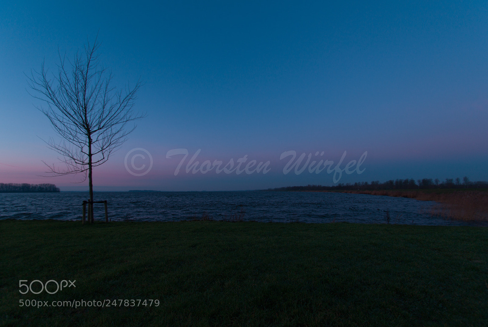 Canon EOS 7D Mark II sample photo. Wuerfel@compihome.de photography